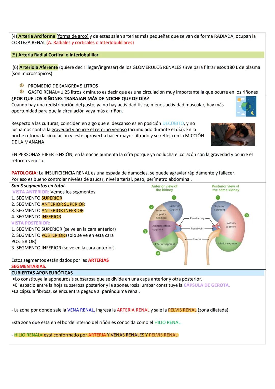 --- OCR Start ---
RETROPERITOΝΕΟ
LÍMITES DE LA PARED PÓSTERO-LATERAL DEL ABDOMEN
SUPERIOR: Borde inferior de 10°-12° costilla.
INFERIOR: Cre