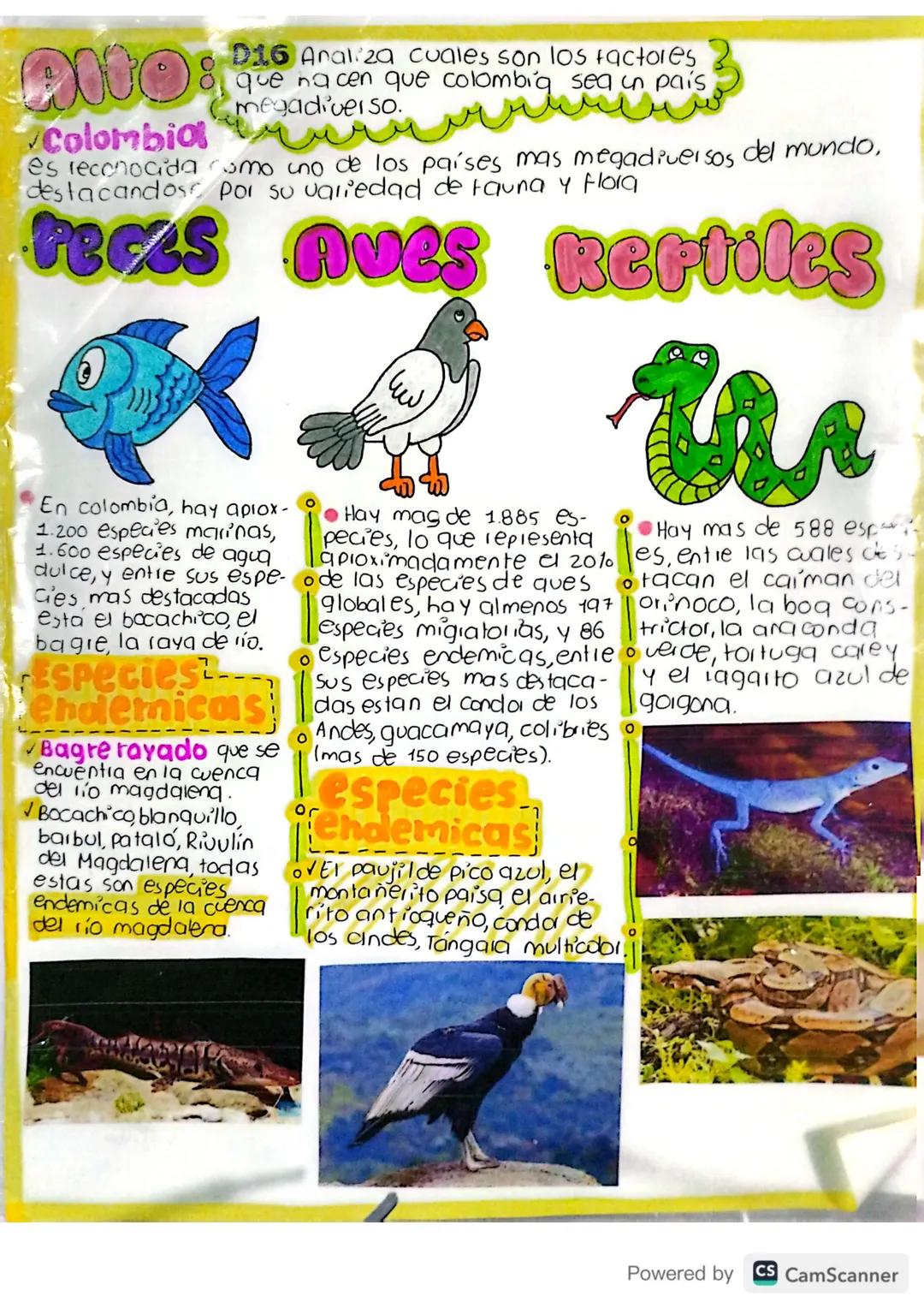 28/04/25.
# Básico d16:
## Ubicación Geográfica de Colombia
✓Colombia es conocida como el país más biodiverso del
mundo encontrándose en seg