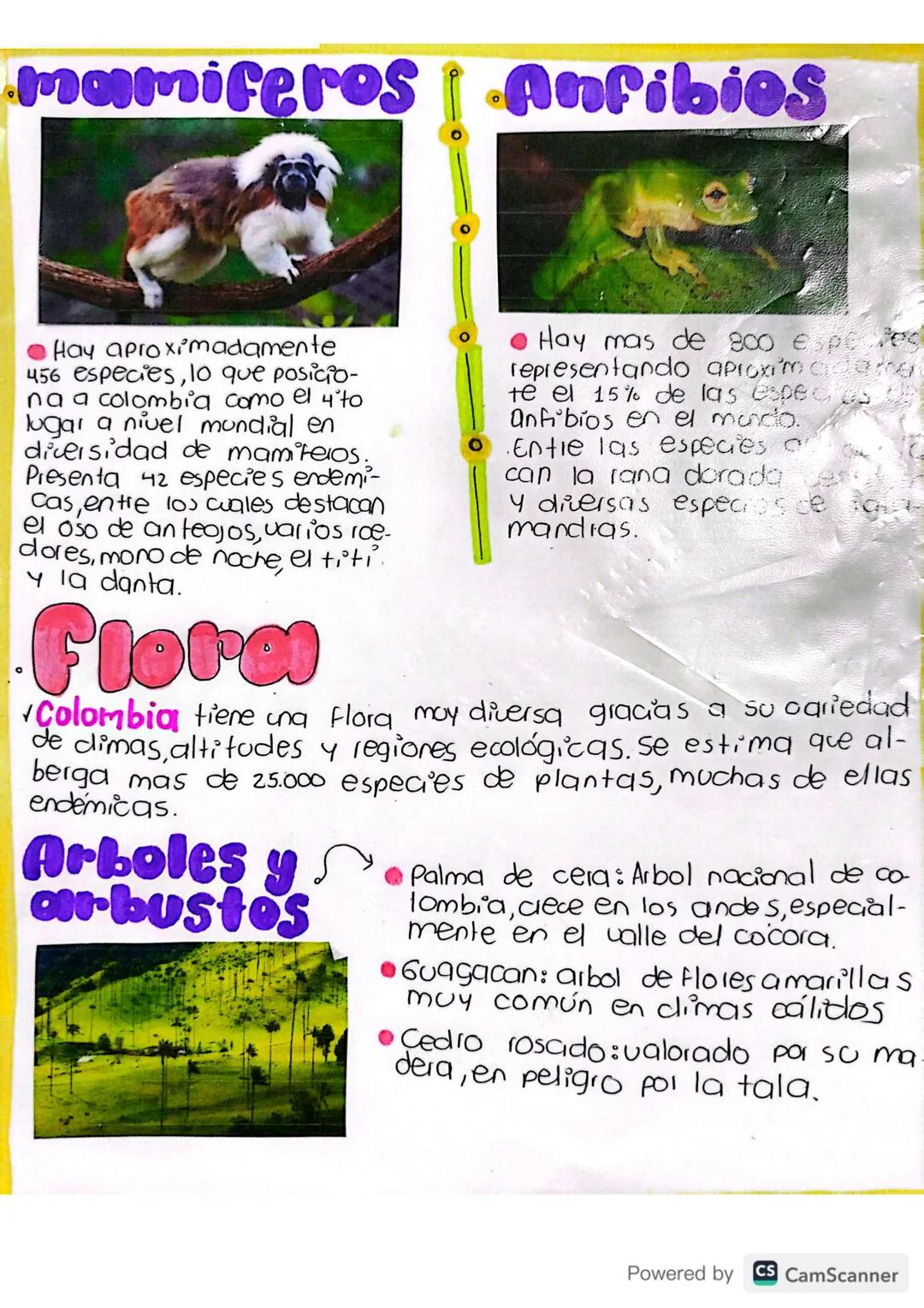 28/04/25.
# Básico d16:
## Ubicación Geográfica de Colombia
✓Colombia es conocida como el país más biodiverso del
mundo encontrándose en seg