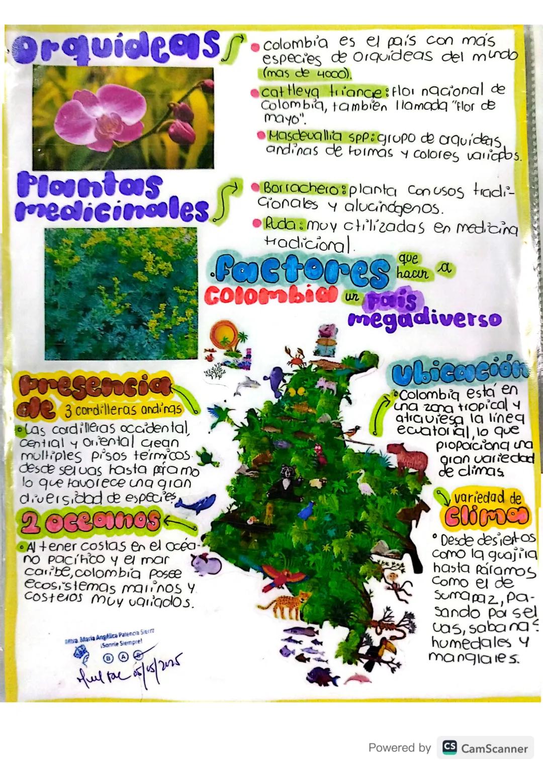 28/04/25.
# Básico d16:
## Ubicación Geográfica de Colombia
✓Colombia es conocida como el país más biodiverso del
mundo encontrándose en seg