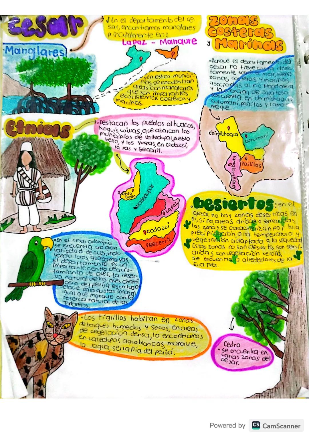 28/04/25.
# Básico d16:
## Ubicación Geográfica de Colombia
✓Colombia es conocida como el país más biodiverso del
mundo encontrándose en seg