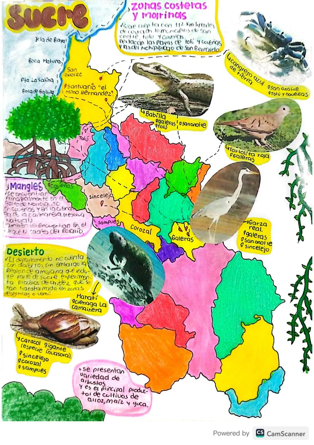 28/04/25.
# Básico d16:
## Ubicación Geográfica de Colombia
✓Colombia es conocida como el país más biodiverso del
mundo encontrándose en seg