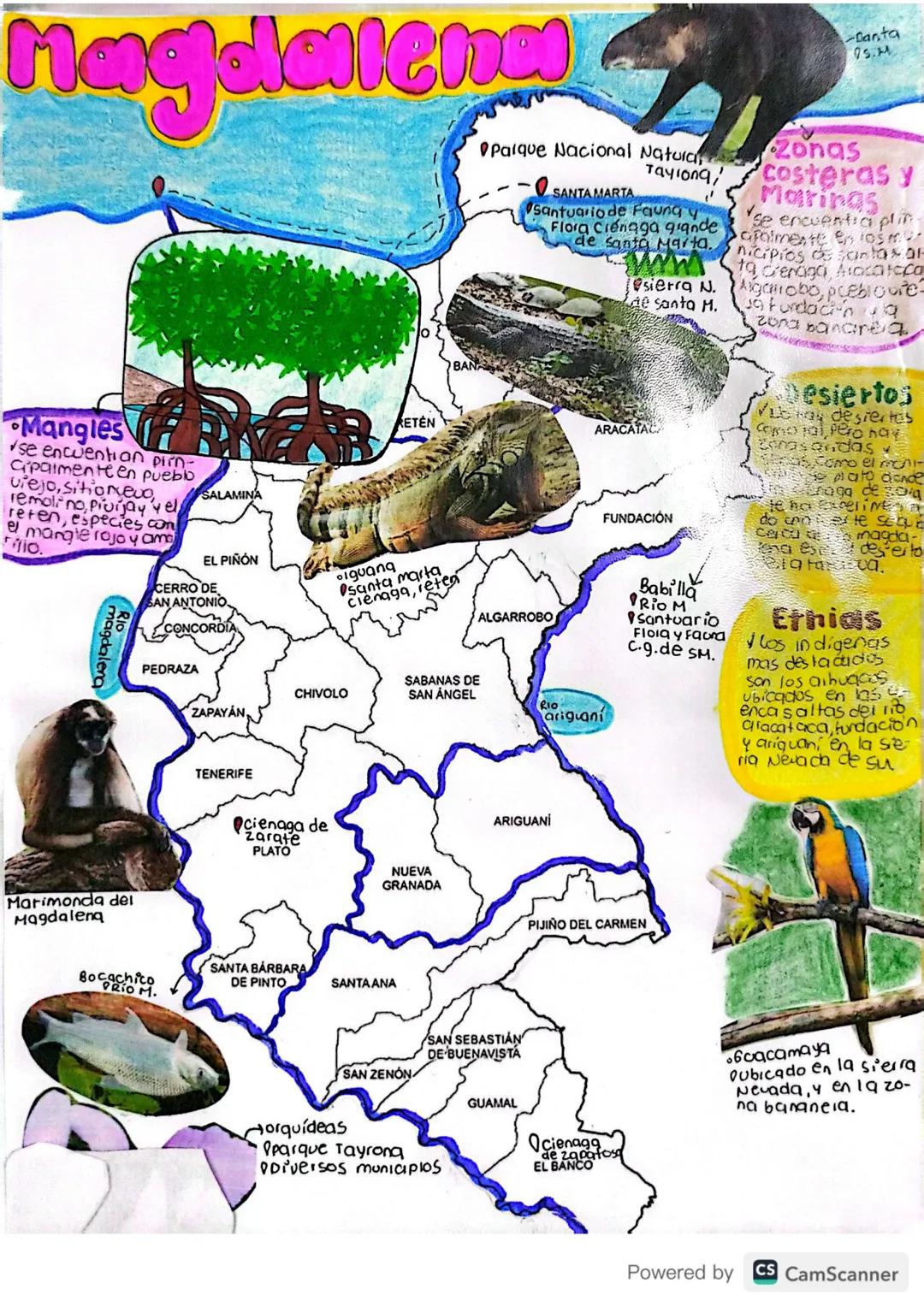 28/04/25.
# Básico d16:
## Ubicación Geográfica de Colombia
✓Colombia es conocida como el país más biodiverso del
mundo encontrándose en seg