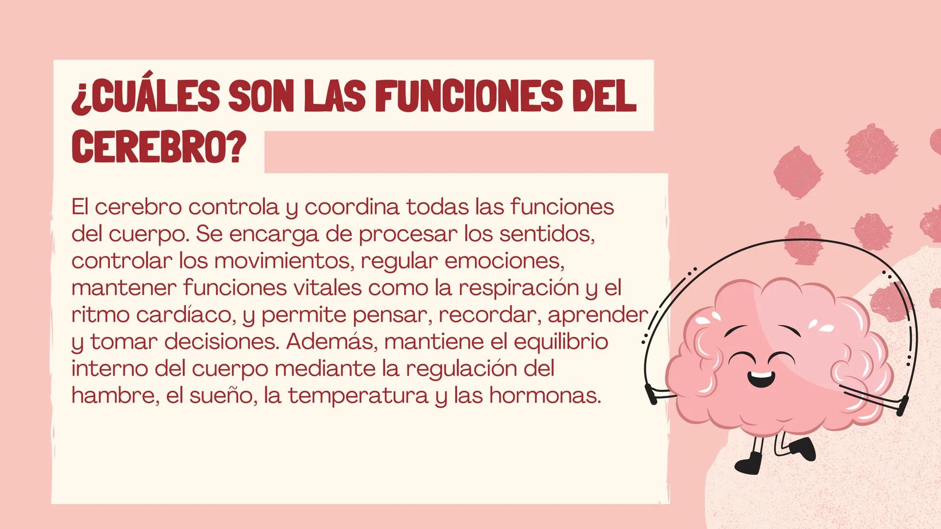 # EL
# CEREBRO
Las principales partes del cerebro,
con su estructura, función ## ¿CUÁLES SON LAS FUNCIONES DEL
CEREBRO?
El cerebro contro