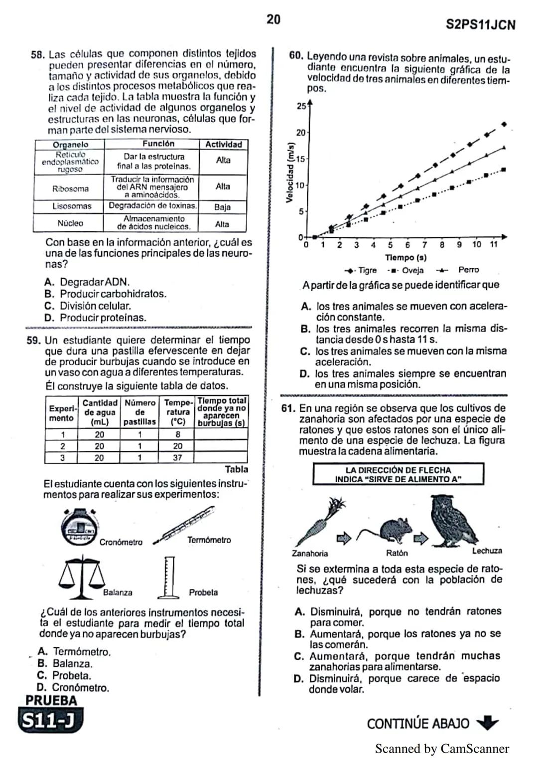 1
● La
Eje del
mejoramiento
Evaluación de la calidad
PRUEBA
S11-J
educativa
Evaluación por Desempeño en Competencias
Segunda sesión
En el si