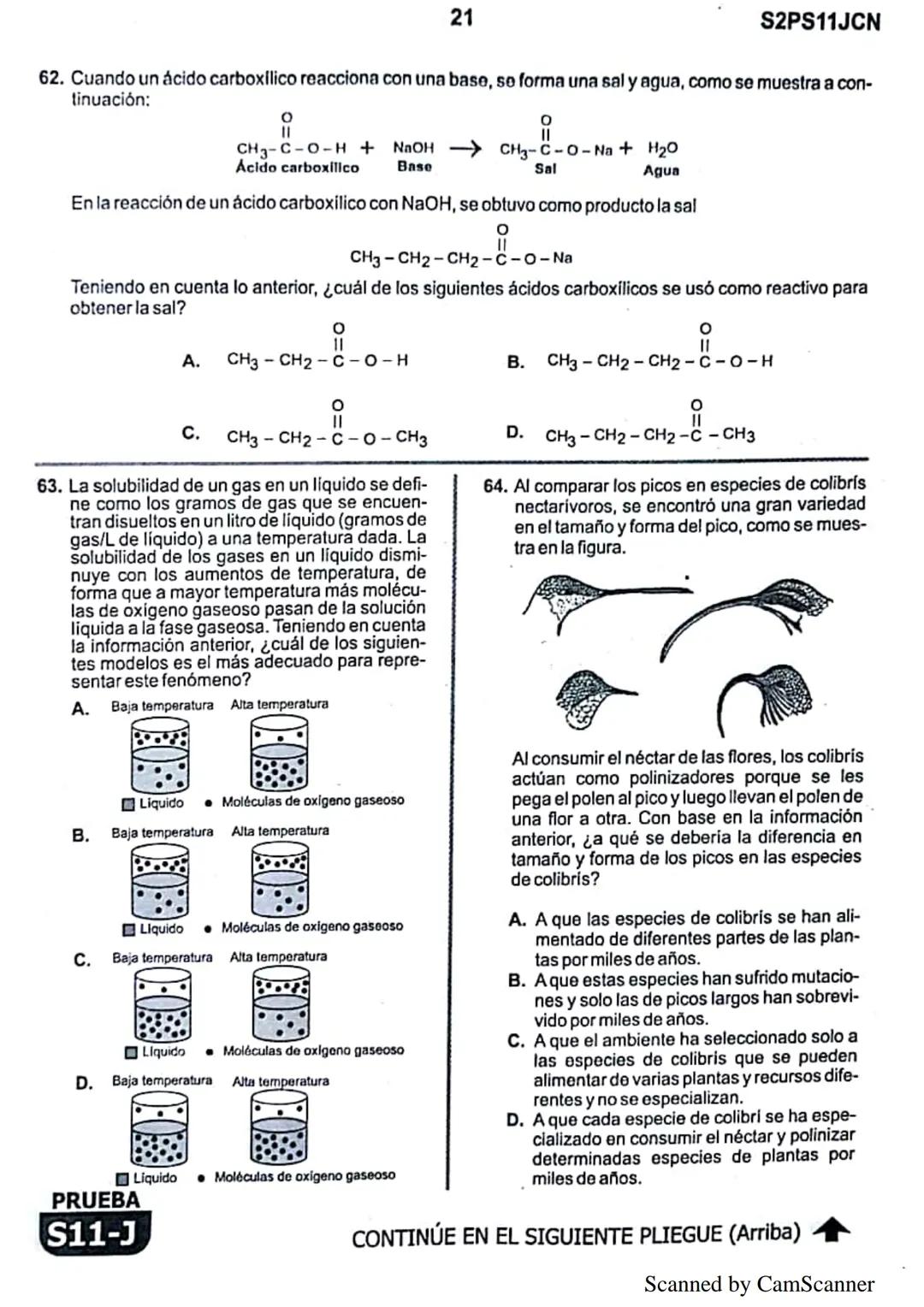1
● La
Eje del
mejoramiento
Evaluación de la calidad
PRUEBA
S11-J
educativa
Evaluación por Desempeño en Competencias
Segunda sesión
En el si