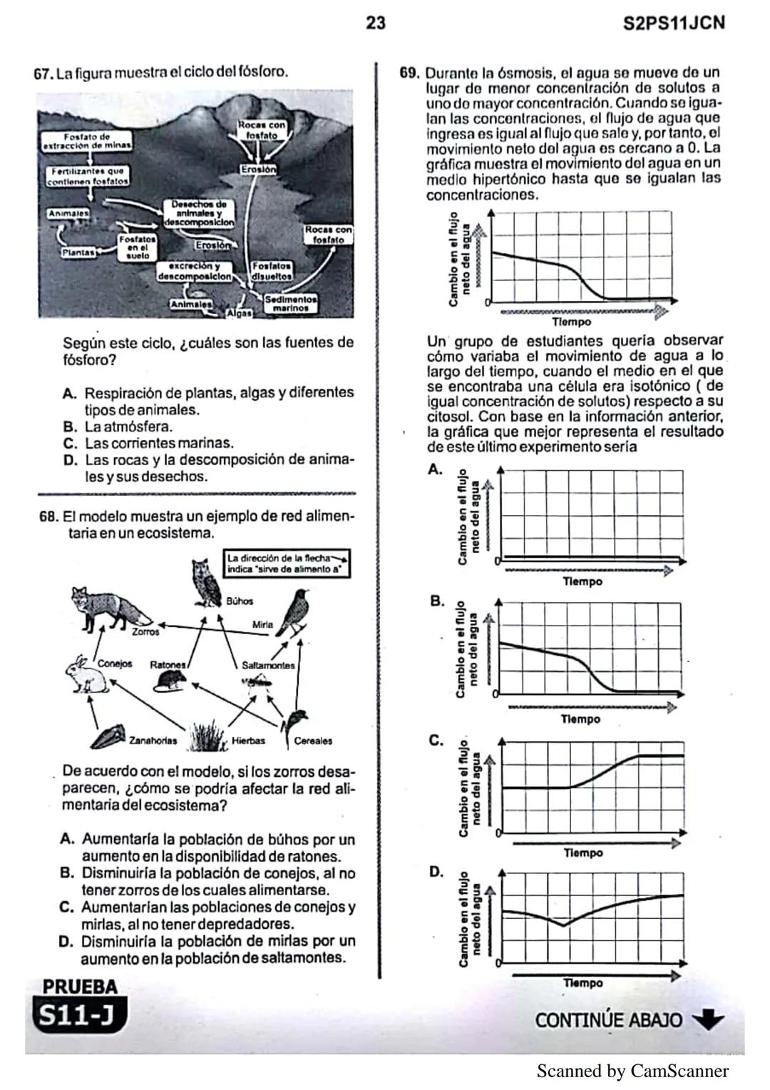 1
● La
Eje del
mejoramiento
Evaluación de la calidad
PRUEBA
S11-J
educativa
Evaluación por Desempeño en Competencias
Segunda sesión
En el si