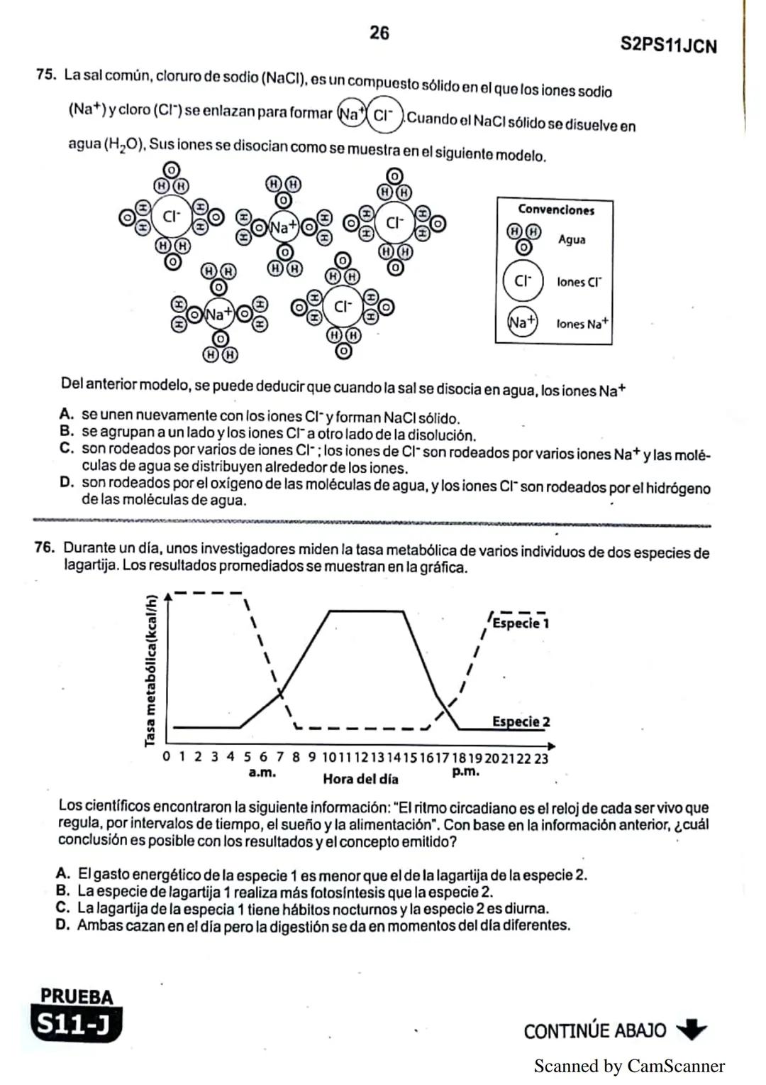 1
● La
Eje del
mejoramiento
Evaluación de la calidad
PRUEBA
S11-J
educativa
Evaluación por Desempeño en Competencias
Segunda sesión
En el si