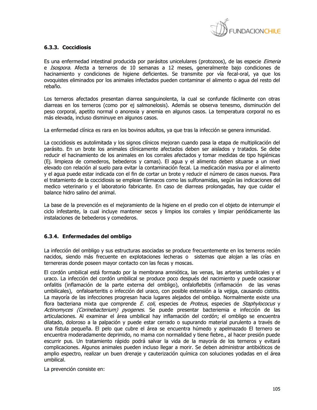 # FUNDACIONCHILE
MANUAL DE PRODUCCIÓN BOVINA
Dirigido a profesionales y técnicos
Agosto de 2008 FUNDACIONCHILE
INDICE
Introducción...
1.