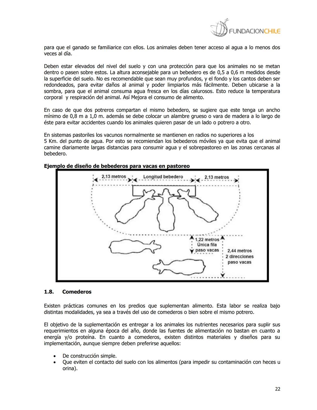 # FUNDACIONCHILE
MANUAL DE PRODUCCIÓN BOVINA
Dirigido a profesionales y técnicos
Agosto de 2008 FUNDACIONCHILE
INDICE
Introducción...
1.
