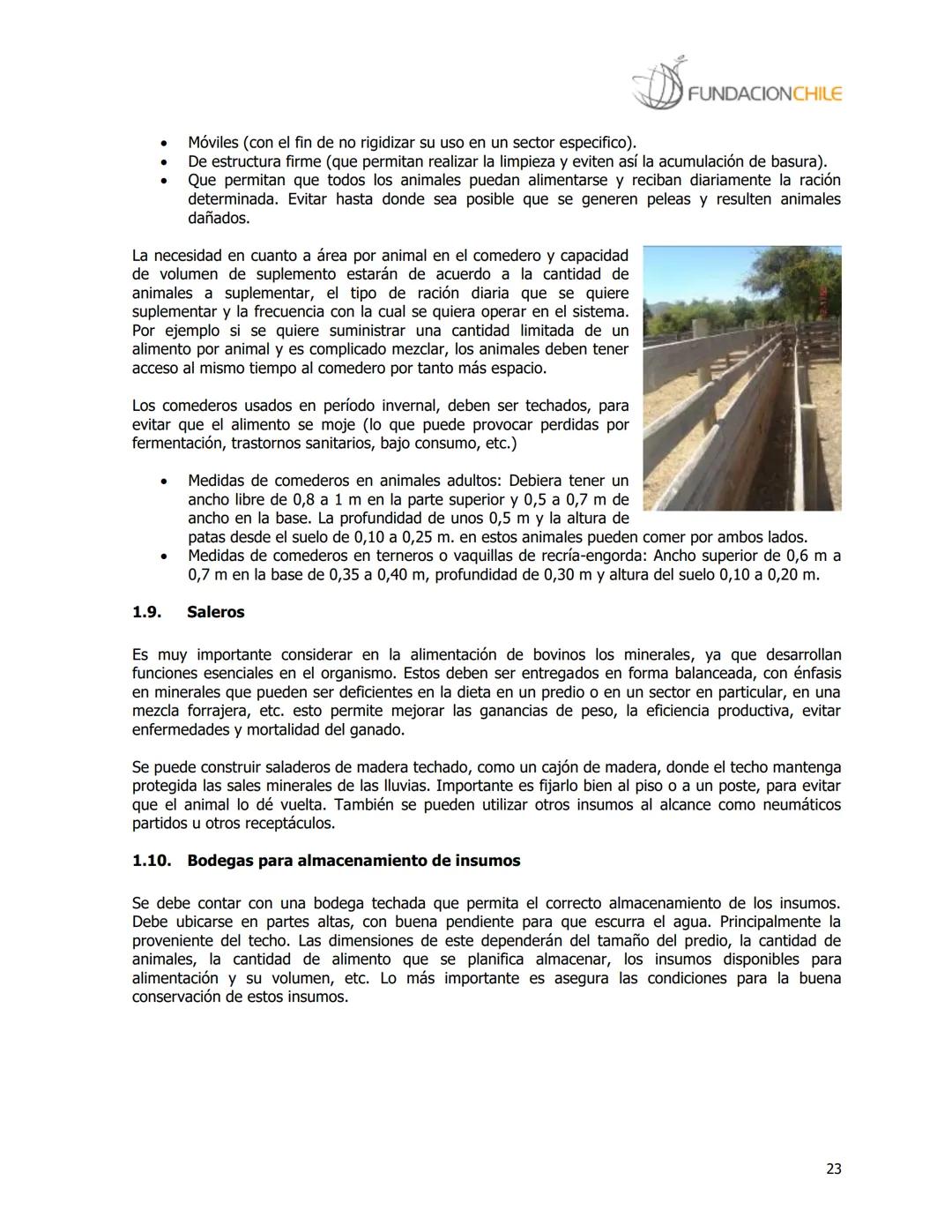 # FUNDACIONCHILE
MANUAL DE PRODUCCIÓN BOVINA
Dirigido a profesionales y técnicos
Agosto de 2008 FUNDACIONCHILE
INDICE
Introducción...
1.
