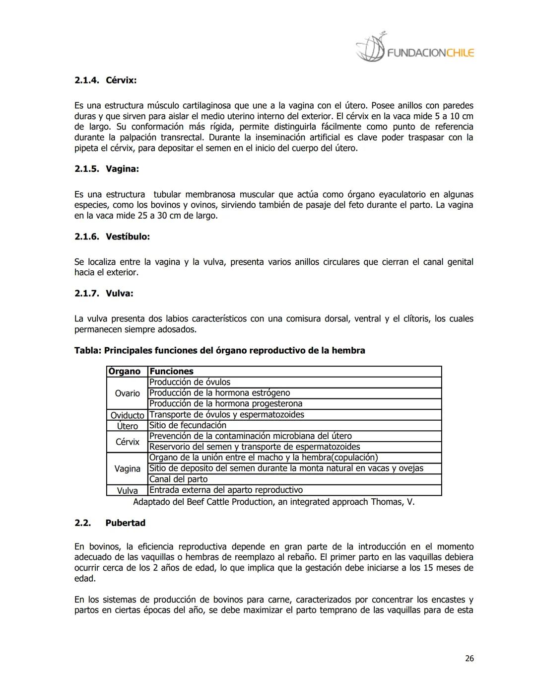 # FUNDACIONCHILE
MANUAL DE PRODUCCIÓN BOVINA
Dirigido a profesionales y técnicos
Agosto de 2008 FUNDACIONCHILE
INDICE
Introducción...
1.