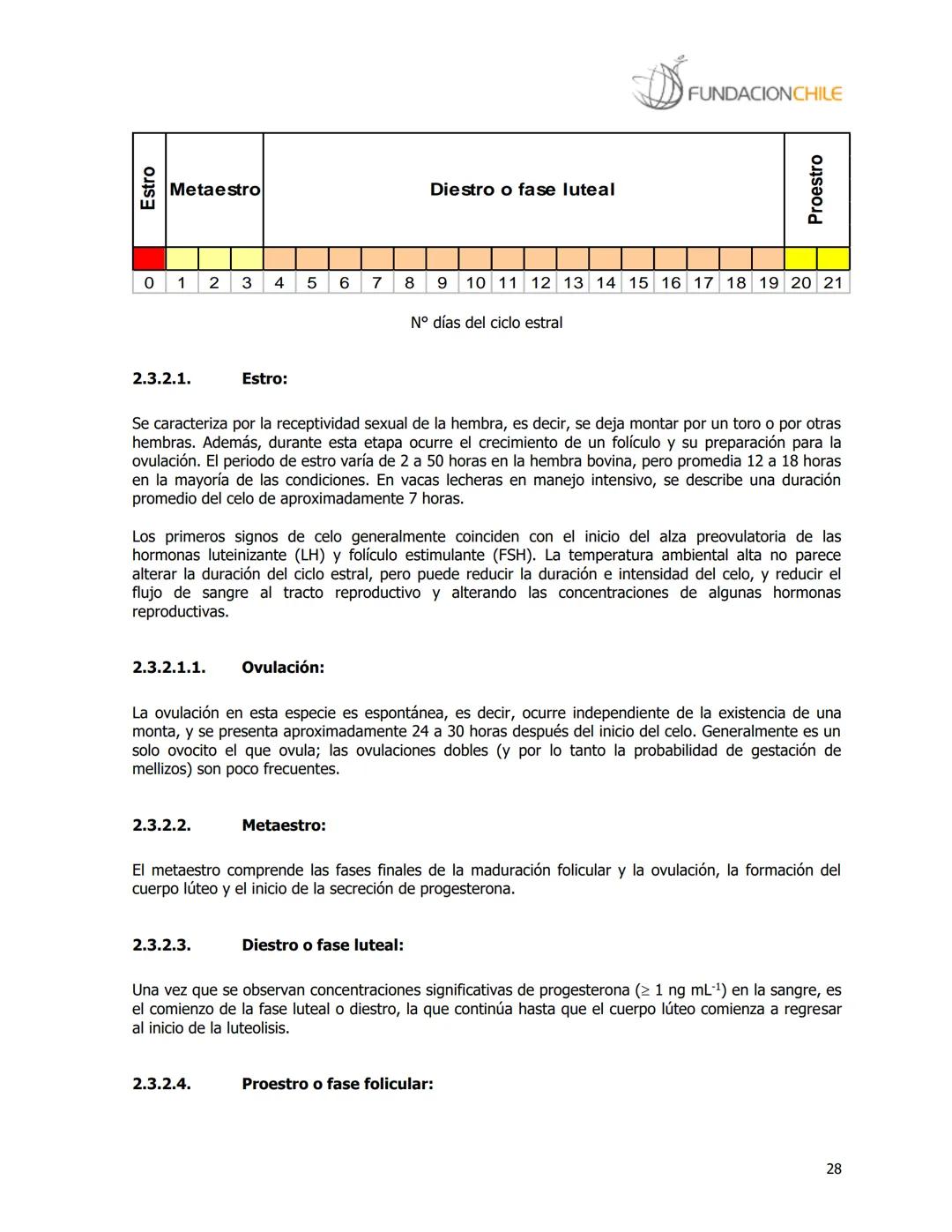 # FUNDACIONCHILE
MANUAL DE PRODUCCIÓN BOVINA
Dirigido a profesionales y técnicos
Agosto de 2008 FUNDACIONCHILE
INDICE
Introducción...
1.