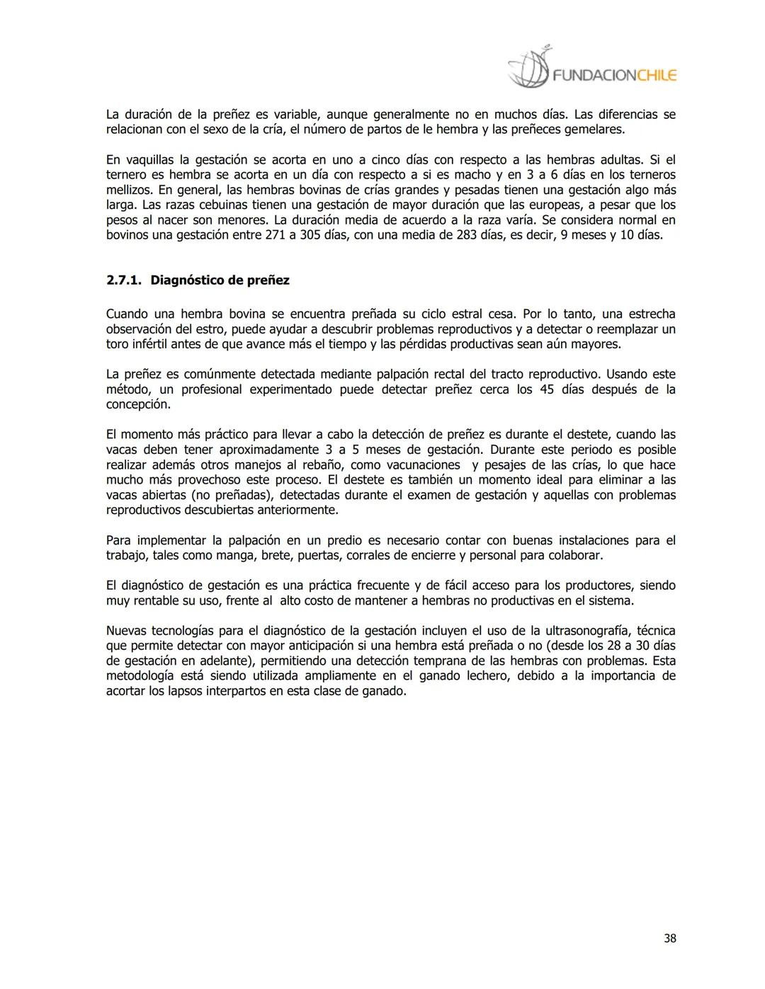 # FUNDACIONCHILE
MANUAL DE PRODUCCIÓN BOVINA
Dirigido a profesionales y técnicos
Agosto de 2008 FUNDACIONCHILE
INDICE
Introducción...
1.