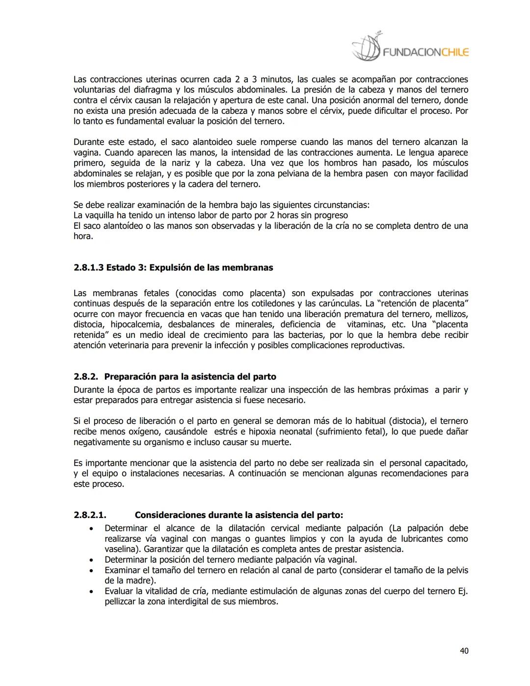 # FUNDACIONCHILE
MANUAL DE PRODUCCIÓN BOVINA
Dirigido a profesionales y técnicos
Agosto de 2008 FUNDACIONCHILE
INDICE
Introducción...
1.