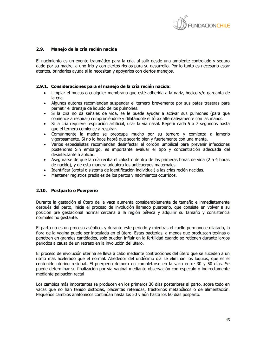 # FUNDACIONCHILE
MANUAL DE PRODUCCIÓN BOVINA
Dirigido a profesionales y técnicos
Agosto de 2008 FUNDACIONCHILE
INDICE
Introducción...
1.