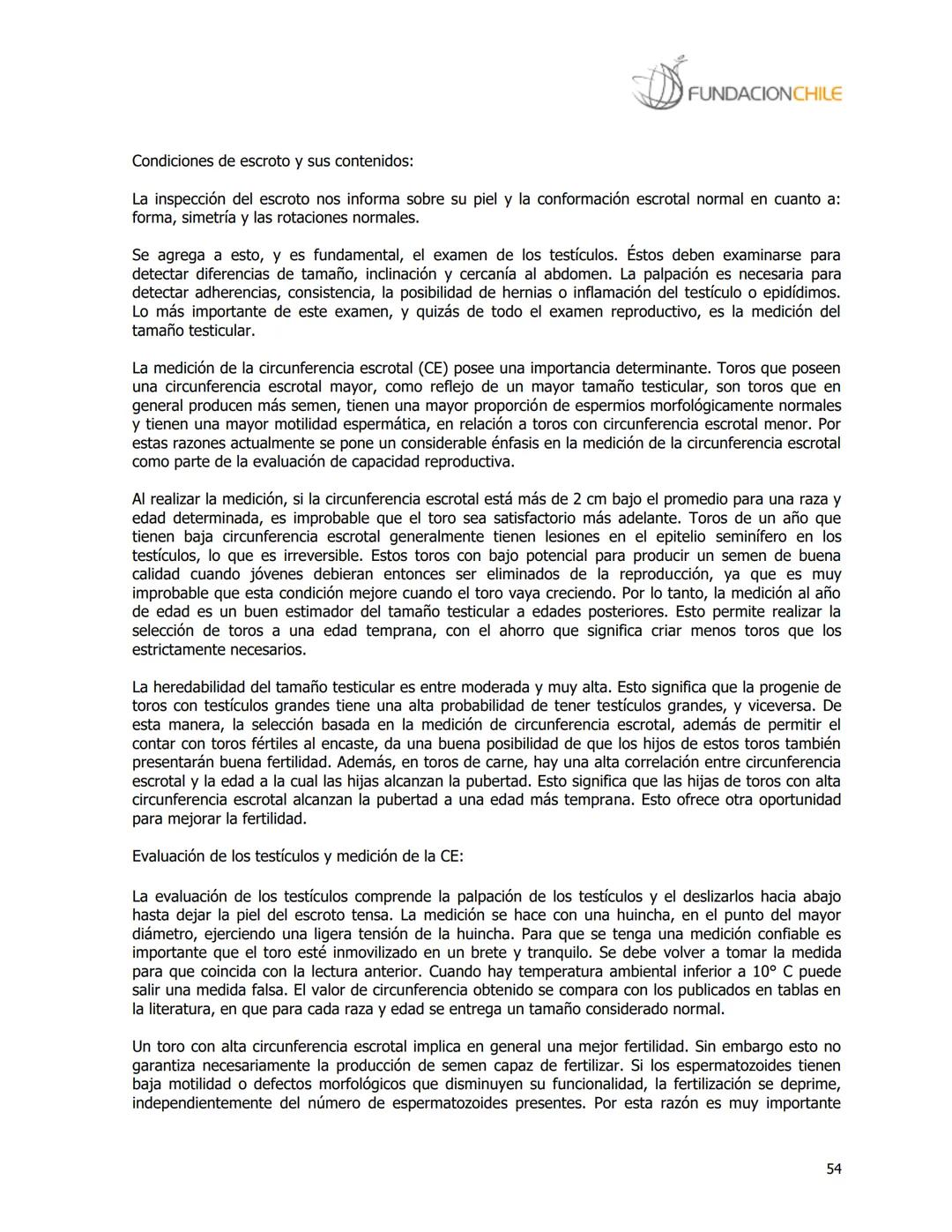 # FUNDACIONCHILE
MANUAL DE PRODUCCIÓN BOVINA
Dirigido a profesionales y técnicos
Agosto de 2008 FUNDACIONCHILE
INDICE
Introducción...
1.