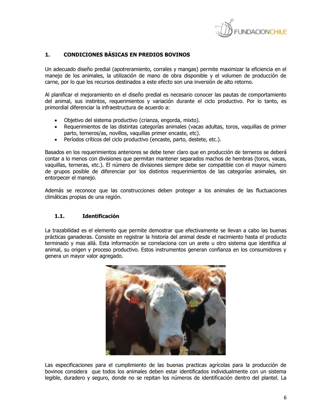 # FUNDACIONCHILE
MANUAL DE PRODUCCIÓN BOVINA
Dirigido a profesionales y técnicos
Agosto de 2008 FUNDACIONCHILE
INDICE
Introducción...
1.