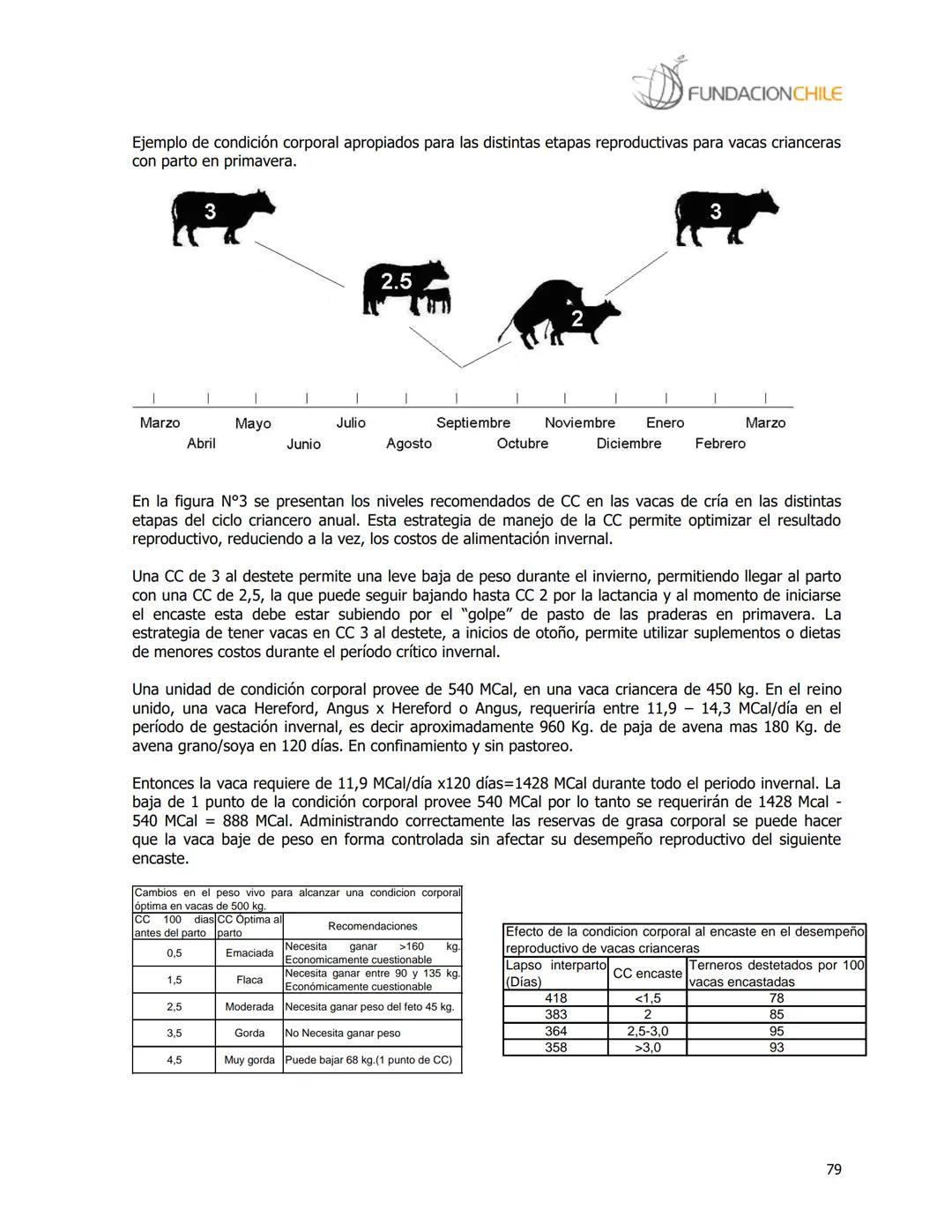 # FUNDACIONCHILE
MANUAL DE PRODUCCIÓN BOVINA
Dirigido a profesionales y técnicos
Agosto de 2008 FUNDACIONCHILE
INDICE
Introducción...
1.