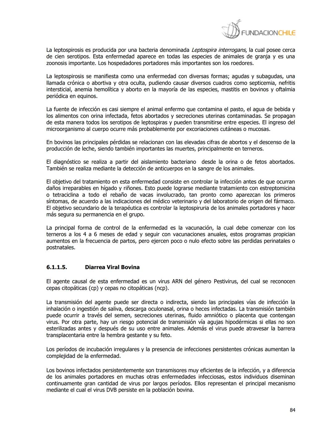 # FUNDACIONCHILE
MANUAL DE PRODUCCIÓN BOVINA
Dirigido a profesionales y técnicos
Agosto de 2008 FUNDACIONCHILE
INDICE
Introducción...
1.