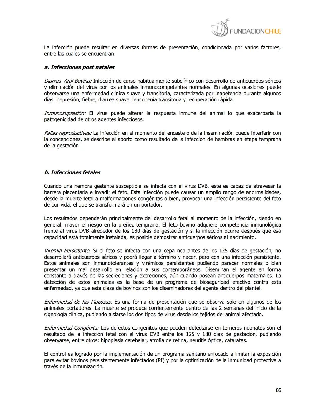# FUNDACIONCHILE
MANUAL DE PRODUCCIÓN BOVINA
Dirigido a profesionales y técnicos
Agosto de 2008 FUNDACIONCHILE
INDICE
Introducción...
1.