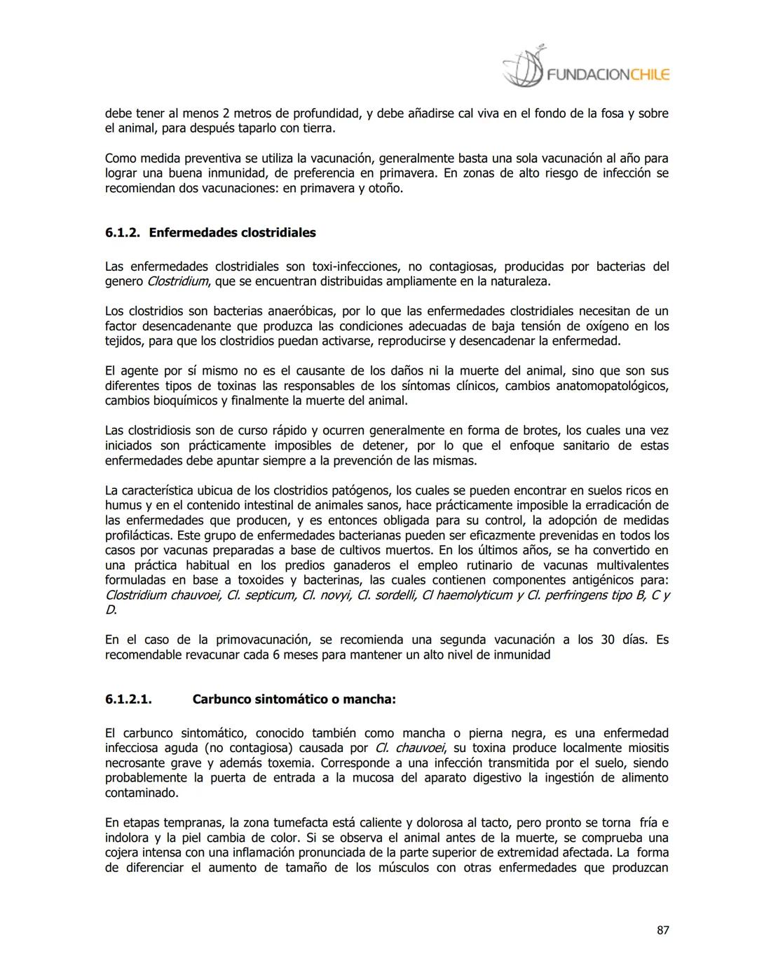# FUNDACIONCHILE
MANUAL DE PRODUCCIÓN BOVINA
Dirigido a profesionales y técnicos
Agosto de 2008 FUNDACIONCHILE
INDICE
Introducción...
1.