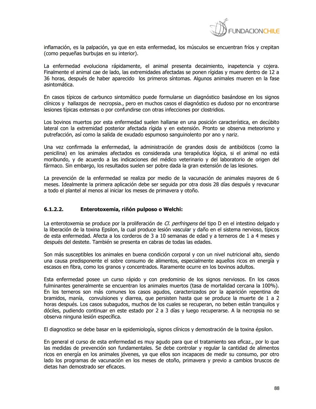 # FUNDACIONCHILE
MANUAL DE PRODUCCIÓN BOVINA
Dirigido a profesionales y técnicos
Agosto de 2008 FUNDACIONCHILE
INDICE
Introducción...
1.