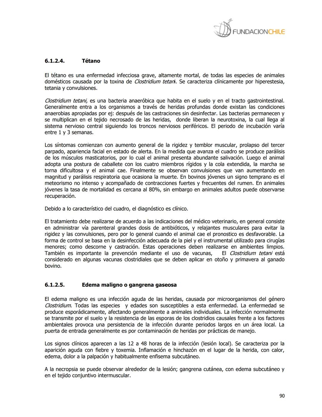 # FUNDACIONCHILE
MANUAL DE PRODUCCIÓN BOVINA
Dirigido a profesionales y técnicos
Agosto de 2008 FUNDACIONCHILE
INDICE
Introducción...
1.