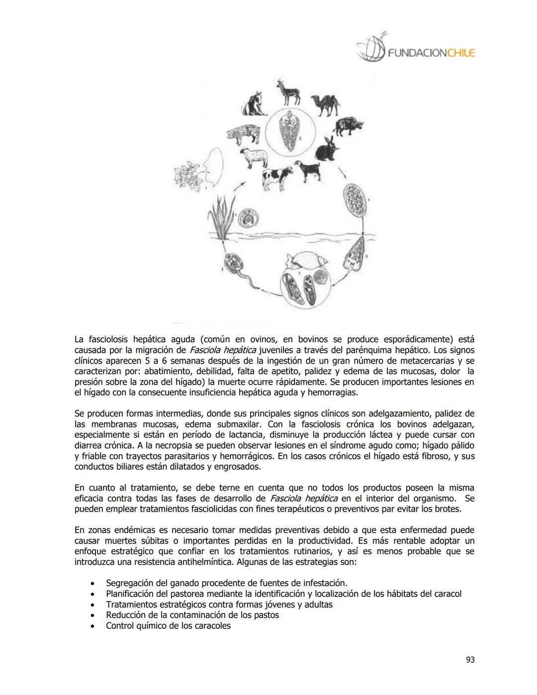 # FUNDACIONCHILE
MANUAL DE PRODUCCIÓN BOVINA
Dirigido a profesionales y técnicos
Agosto de 2008 FUNDACIONCHILE
INDICE
Introducción...
1.