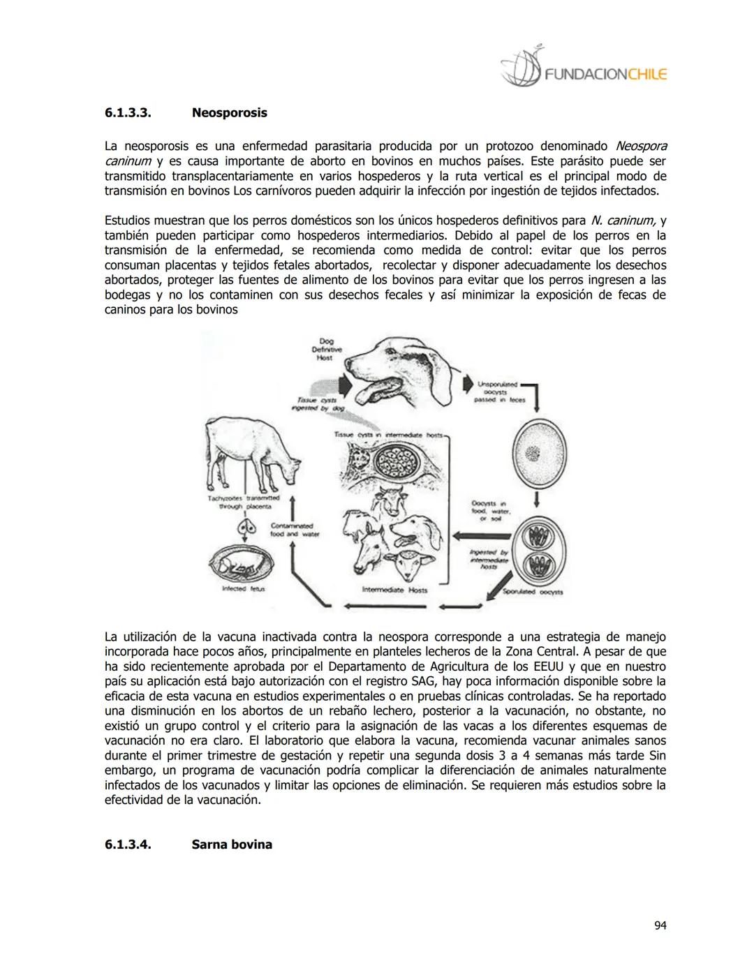 # FUNDACIONCHILE
MANUAL DE PRODUCCIÓN BOVINA
Dirigido a profesionales y técnicos
Agosto de 2008 FUNDACIONCHILE
INDICE
Introducción...
1.