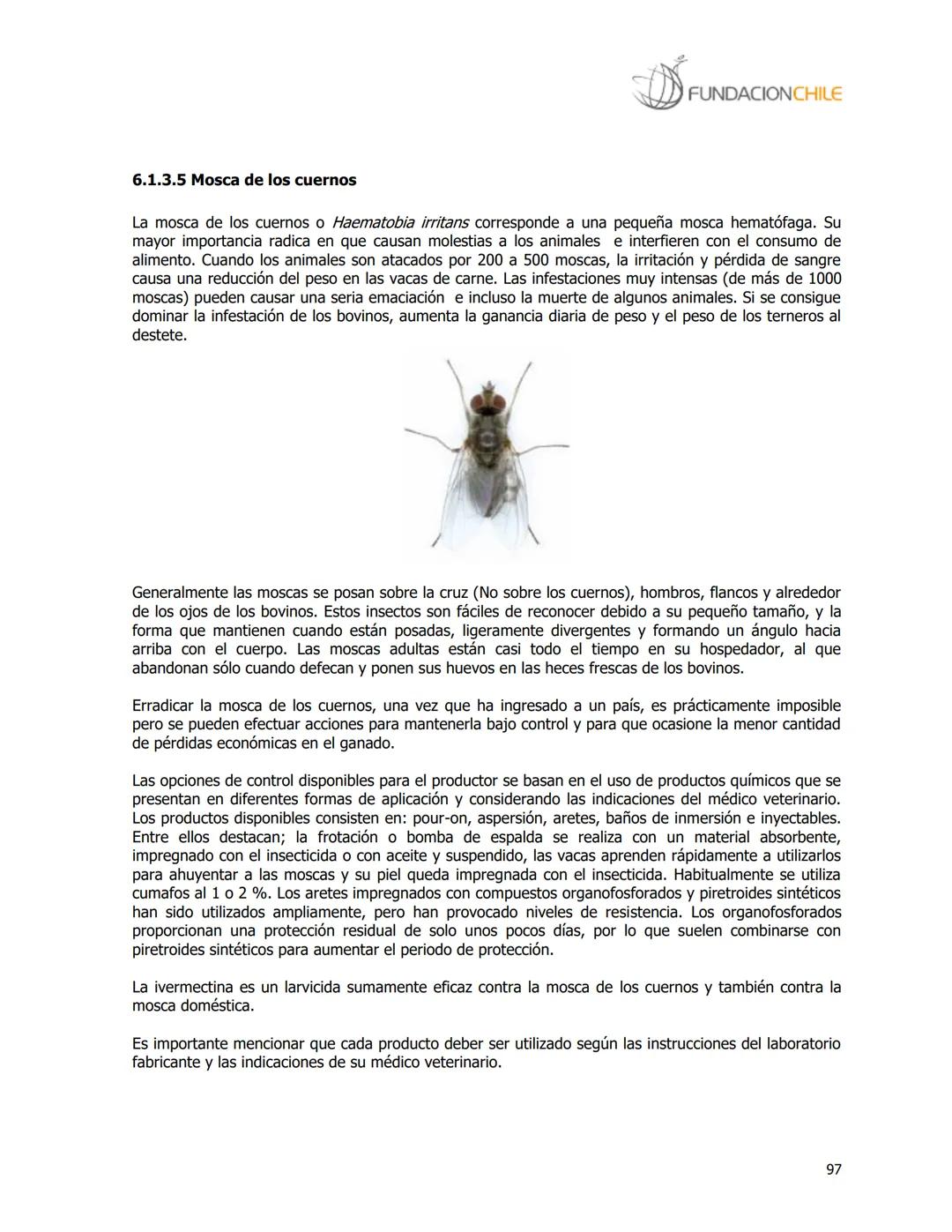 # FUNDACIONCHILE
MANUAL DE PRODUCCIÓN BOVINA
Dirigido a profesionales y técnicos
Agosto de 2008 FUNDACIONCHILE
INDICE
Introducción...
1.