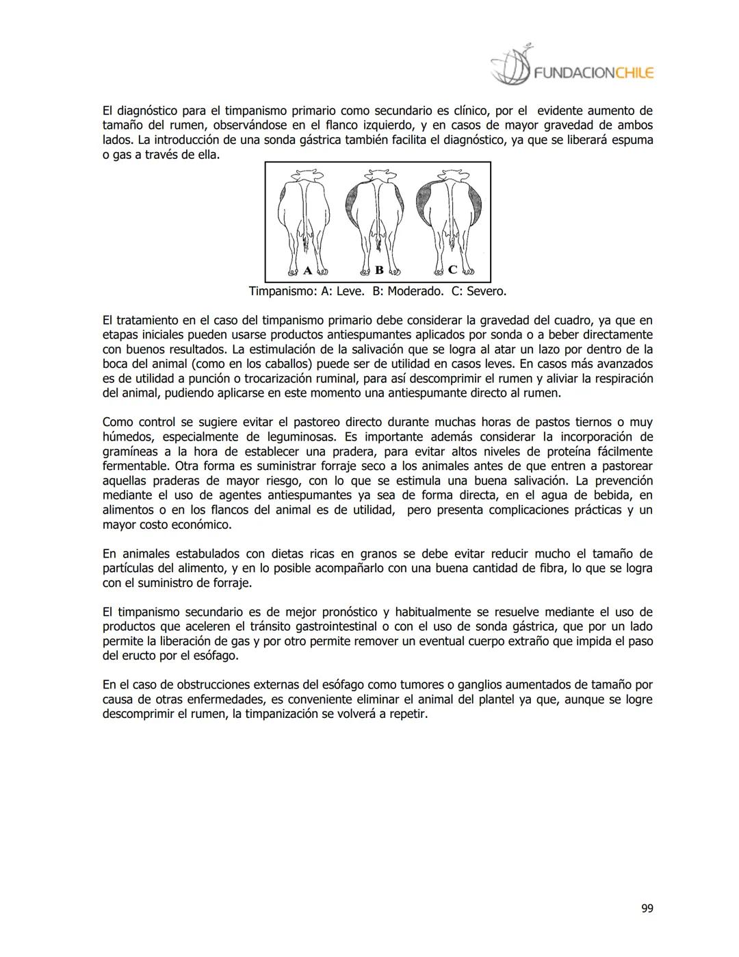 # FUNDACIONCHILE
MANUAL DE PRODUCCIÓN BOVINA
Dirigido a profesionales y técnicos
Agosto de 2008 FUNDACIONCHILE
INDICE
Introducción...
1.