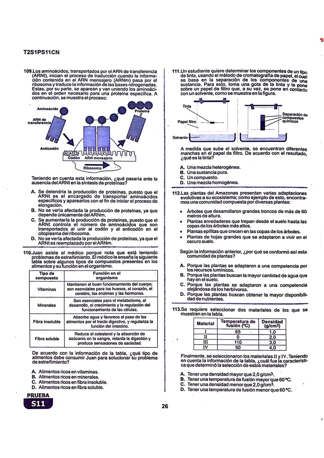 La
Evaluación
S11
Evaluación por Desempeño en Competencias
Primera sesión
En el siguiente cuadro se muestran las pruebas que conforman el ex