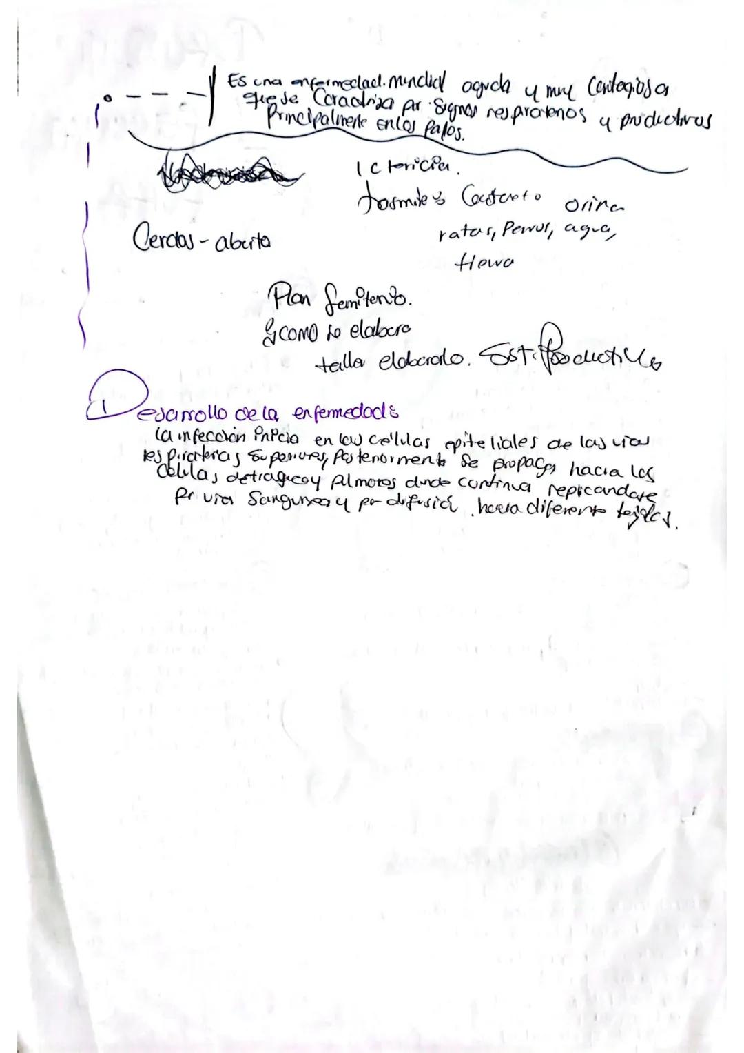 • La enfermedad de chagas es
Una infeccion Parasitaria
Causada por el Protozoo
Trypanosoma cruzi se transmite
Principamente por la Picadura