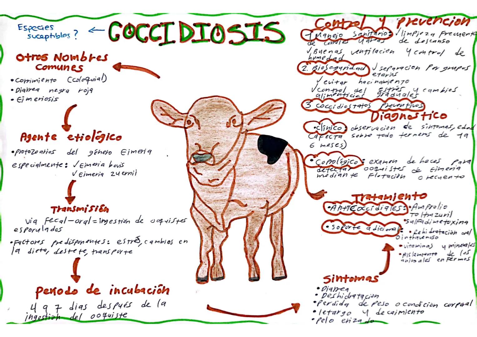 • La enfermedad de chagas es
Una infeccion Parasitaria
Causada por el Protozoo
Trypanosoma cruzi se transmite
Principamente por la Picadura