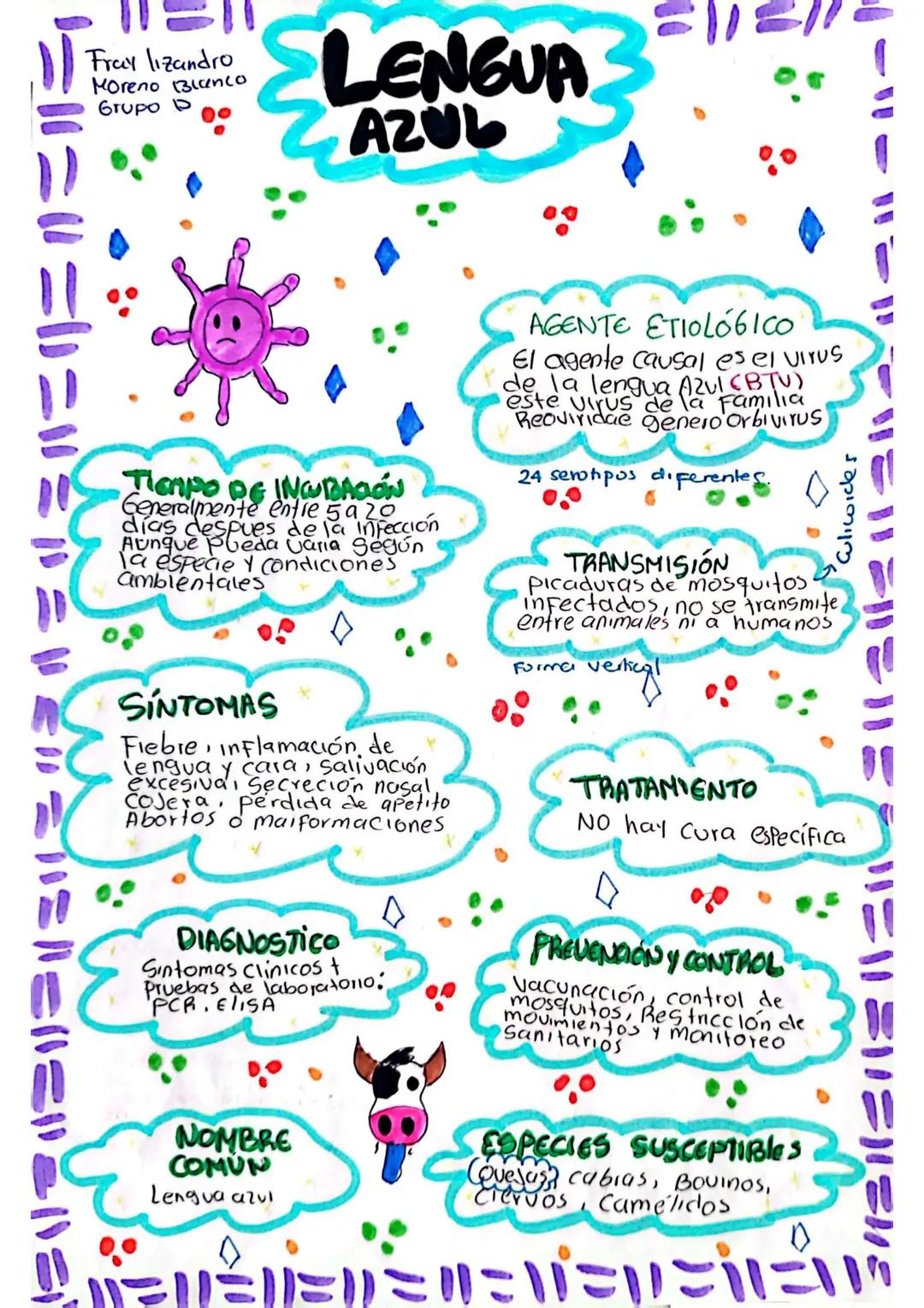 • La enfermedad de chagas es
Una infeccion Parasitaria
Causada por el Protozoo
Trypanosoma cruzi se transmite
Principamente por la Picadura