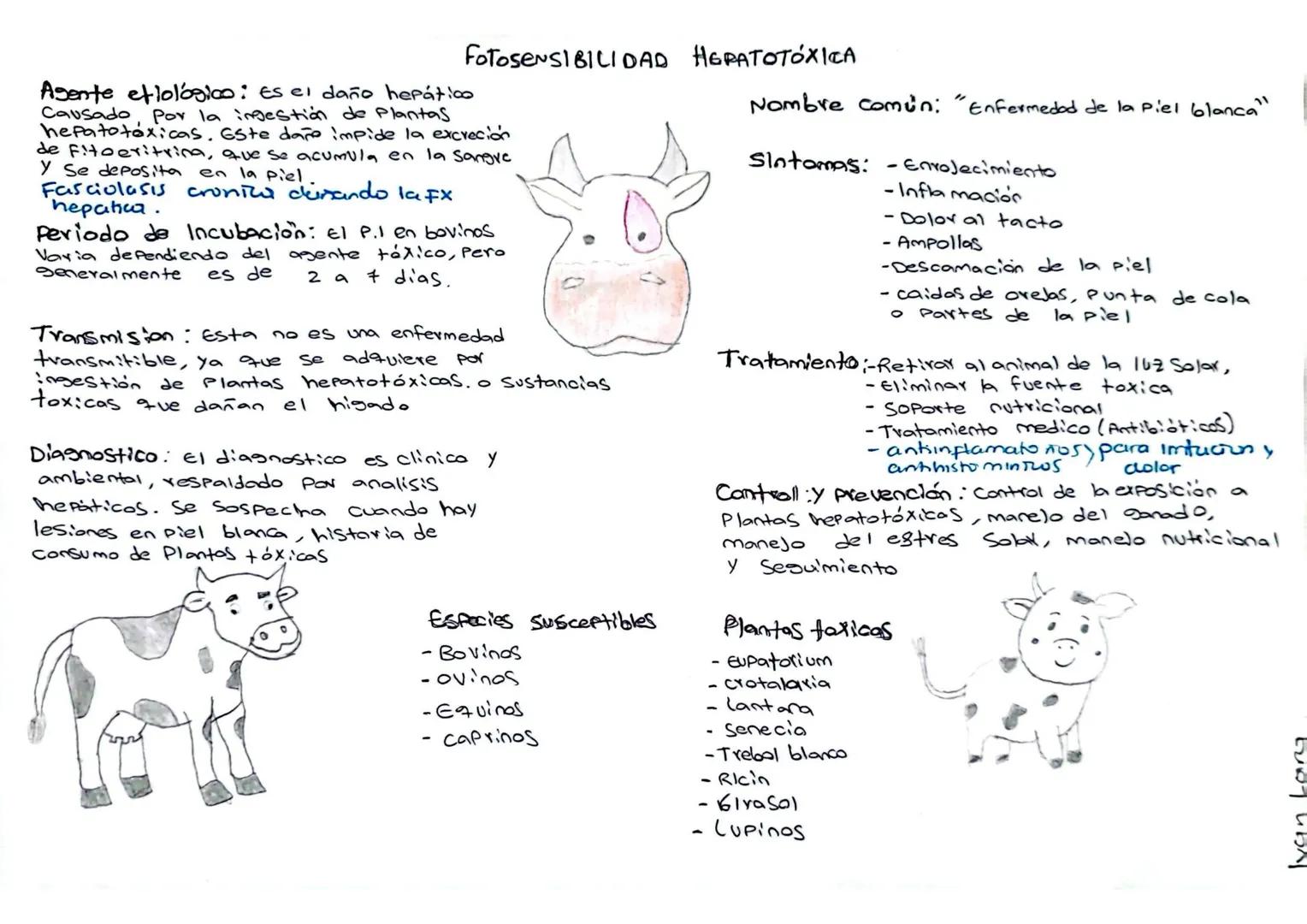 • La enfermedad de chagas es
Una infeccion Parasitaria
Causada por el Protozoo
Trypanosoma cruzi se transmite
Principamente por la Picadura