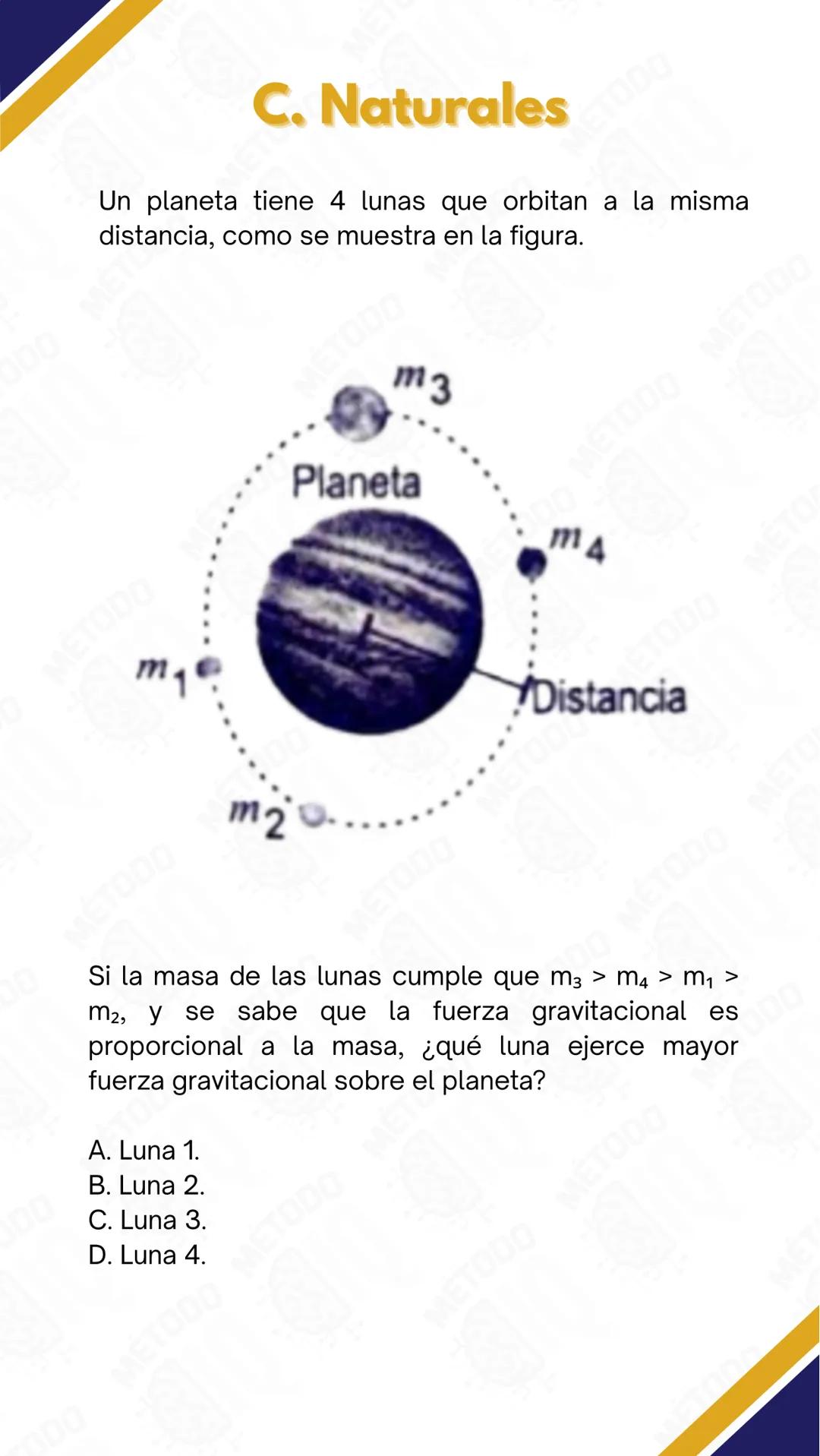 # C. Naturales
La figura muestra una representación del proceso de síntesis de proteínas. En este proceso, la información genética de los g