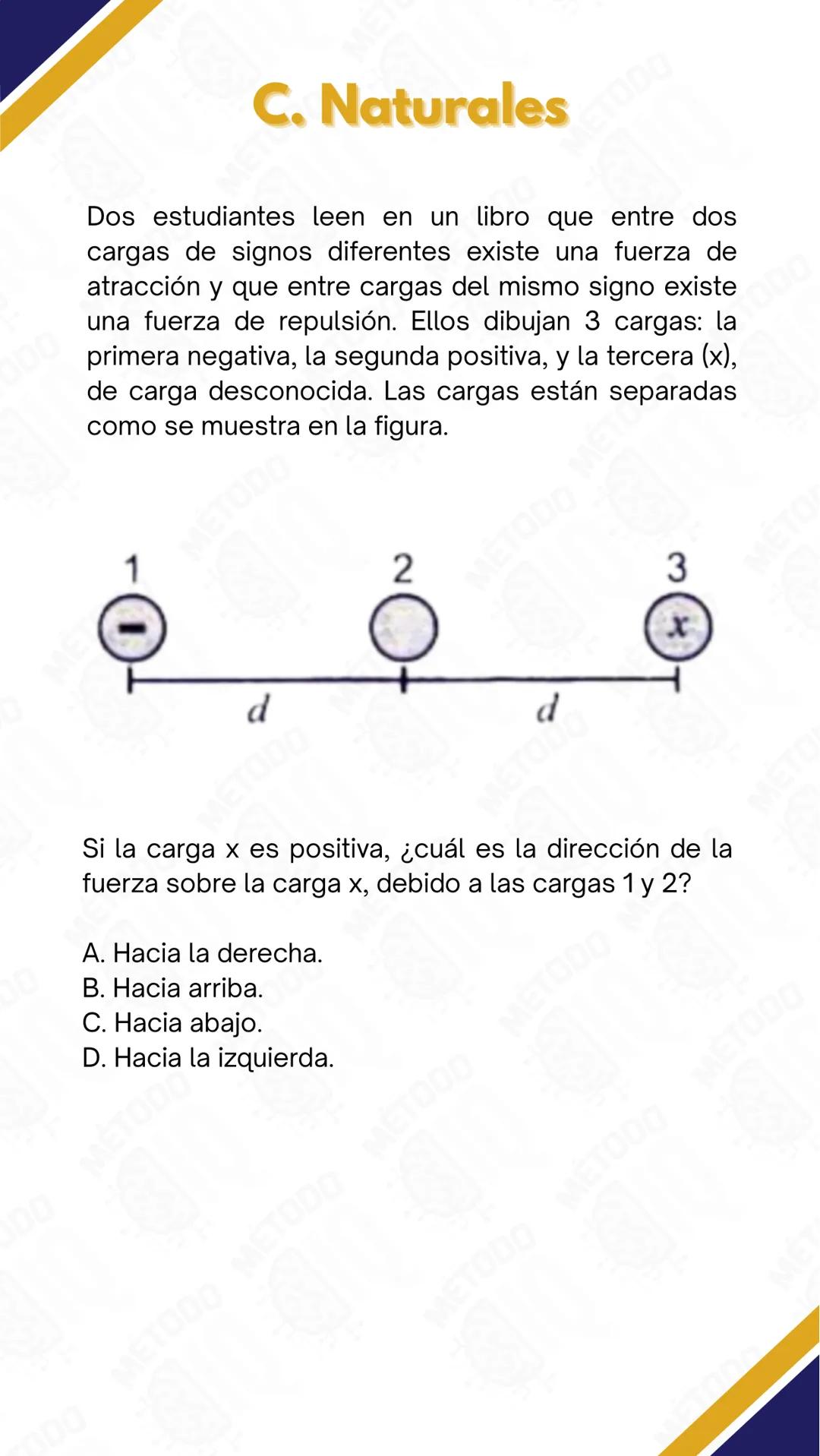 # C. Naturales
La figura muestra una representación del proceso de síntesis de proteínas. En este proceso, la información genética de los g