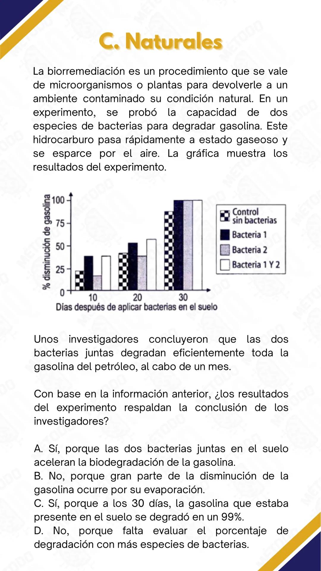 # C. Naturales
La figura muestra una representación del proceso de síntesis de proteínas. En este proceso, la información genética de los g