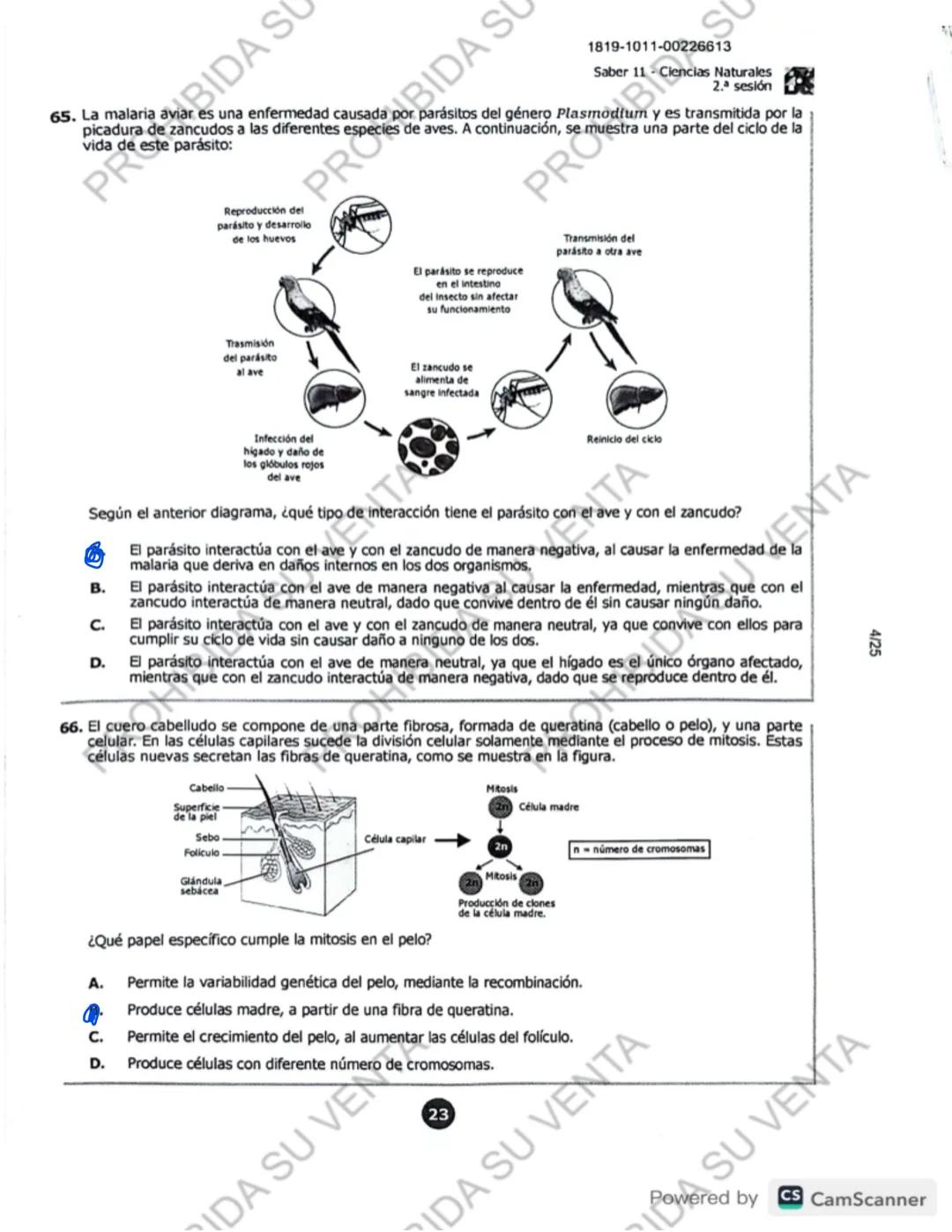 ! 
DISCLAIMER:
USO RESPONSABLE DE LAS PRUEBAS DEL ICFES
No utilices las pruebas anteriores para memorizar
preguntas. EI ICFES repite solo un