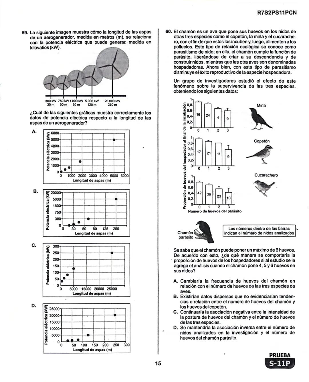 1
# La Evaluación
PRUEBA
S-11P
Evaluación por Desempeño en Competencias
## Segunda sesión
En el siguiente cuadro se muestran las prueba