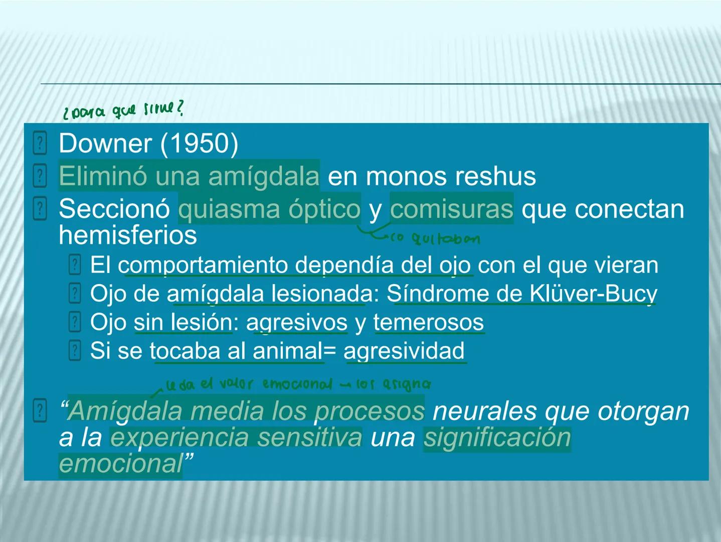 # cerebro
# corazon
# FIGHT!
# NEUROPSICOLOGIA DE LA EMOCION
Adriana M. Martínez M.
25-11-04 GENERALIDADES
? Tiemblo porque tengo miedo