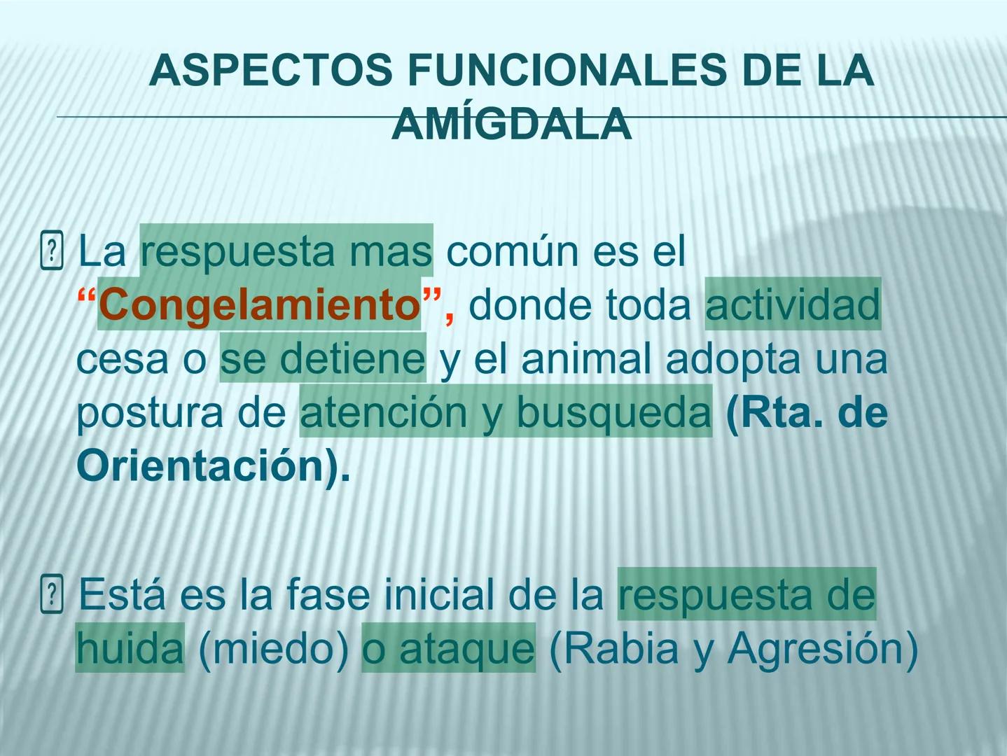 # cerebro
# corazon
# FIGHT!
# NEUROPSICOLOGIA DE LA EMOCION
Adriana M. Martínez M.
25-11-04 GENERALIDADES
? Tiemblo porque tengo miedo