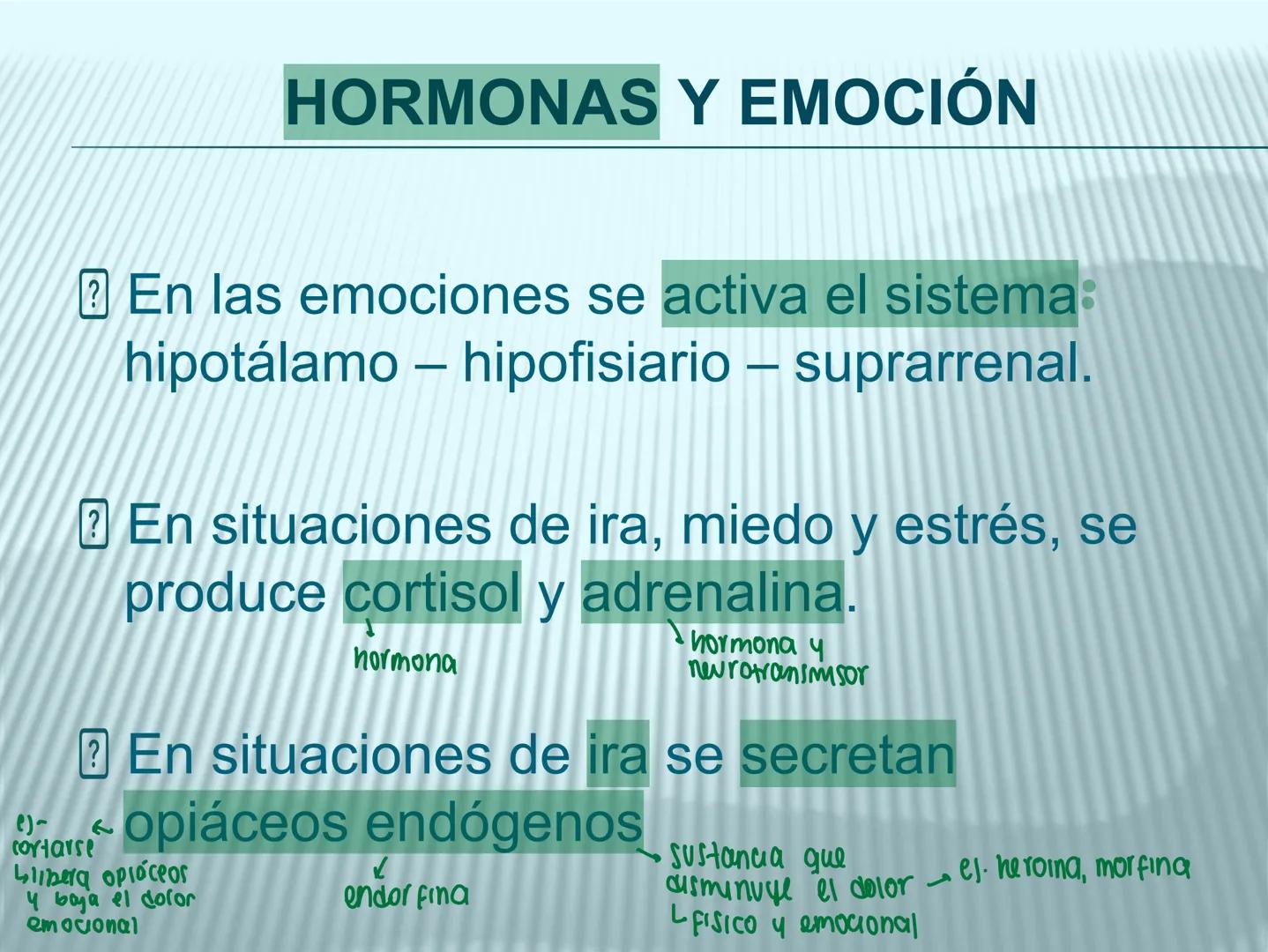 # cerebro
# corazon
# FIGHT!
# NEUROPSICOLOGIA DE LA EMOCION
Adriana M. Martínez M.
25-11-04 GENERALIDADES
? Tiemblo porque tengo miedo