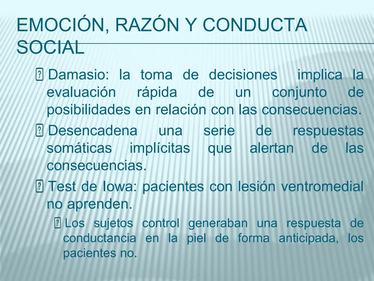 # cerebro
# corazon
# FIGHT!
# NEUROPSICOLOGIA DE LA EMOCION
Adriana M. Martínez M.
25-11-04 GENERALIDADES
? Tiemblo porque tengo miedo