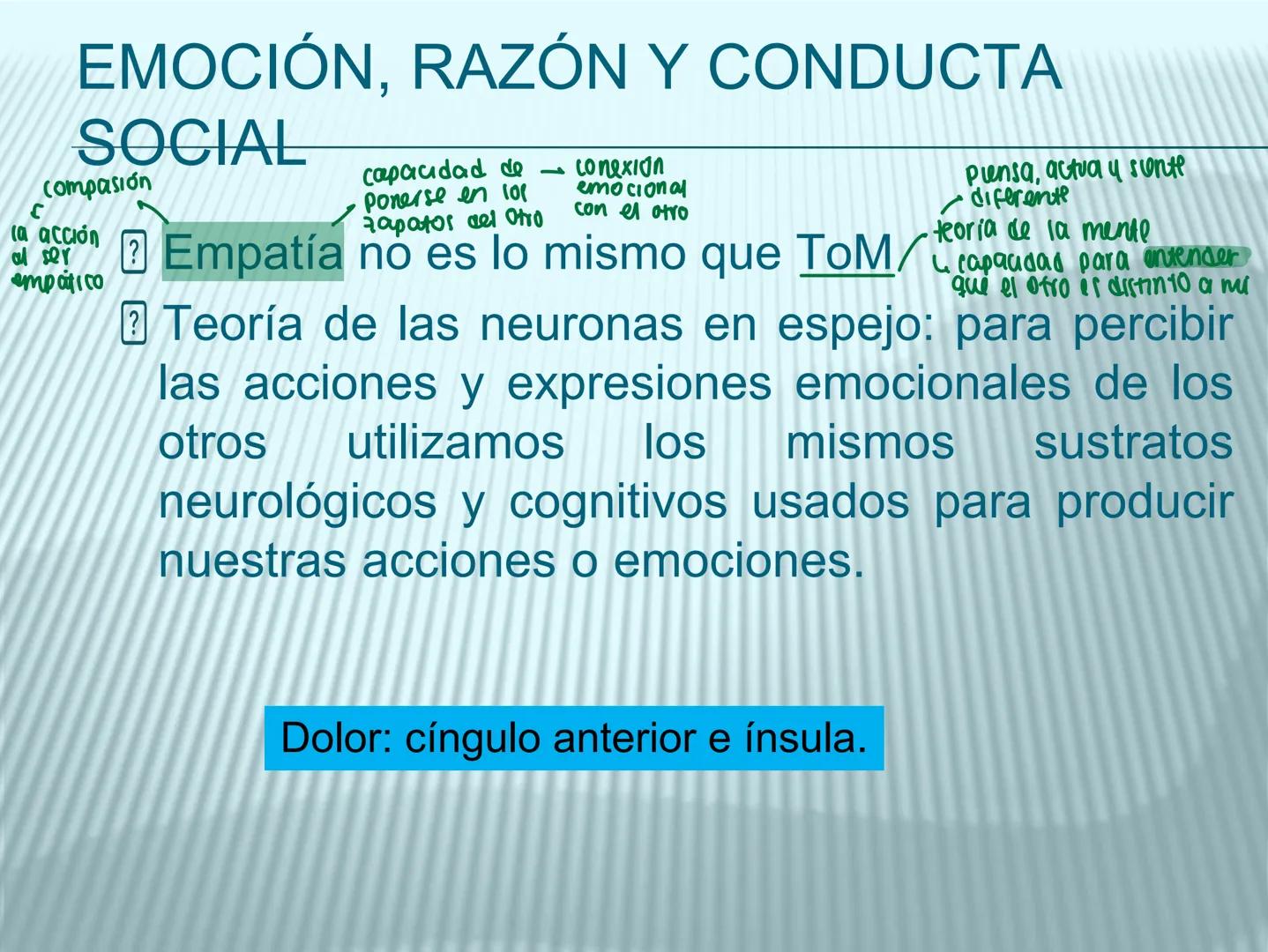 # cerebro
# corazon
# FIGHT!
# NEUROPSICOLOGIA DE LA EMOCION
Adriana M. Martínez M.
25-11-04 GENERALIDADES
? Tiemblo porque tengo miedo