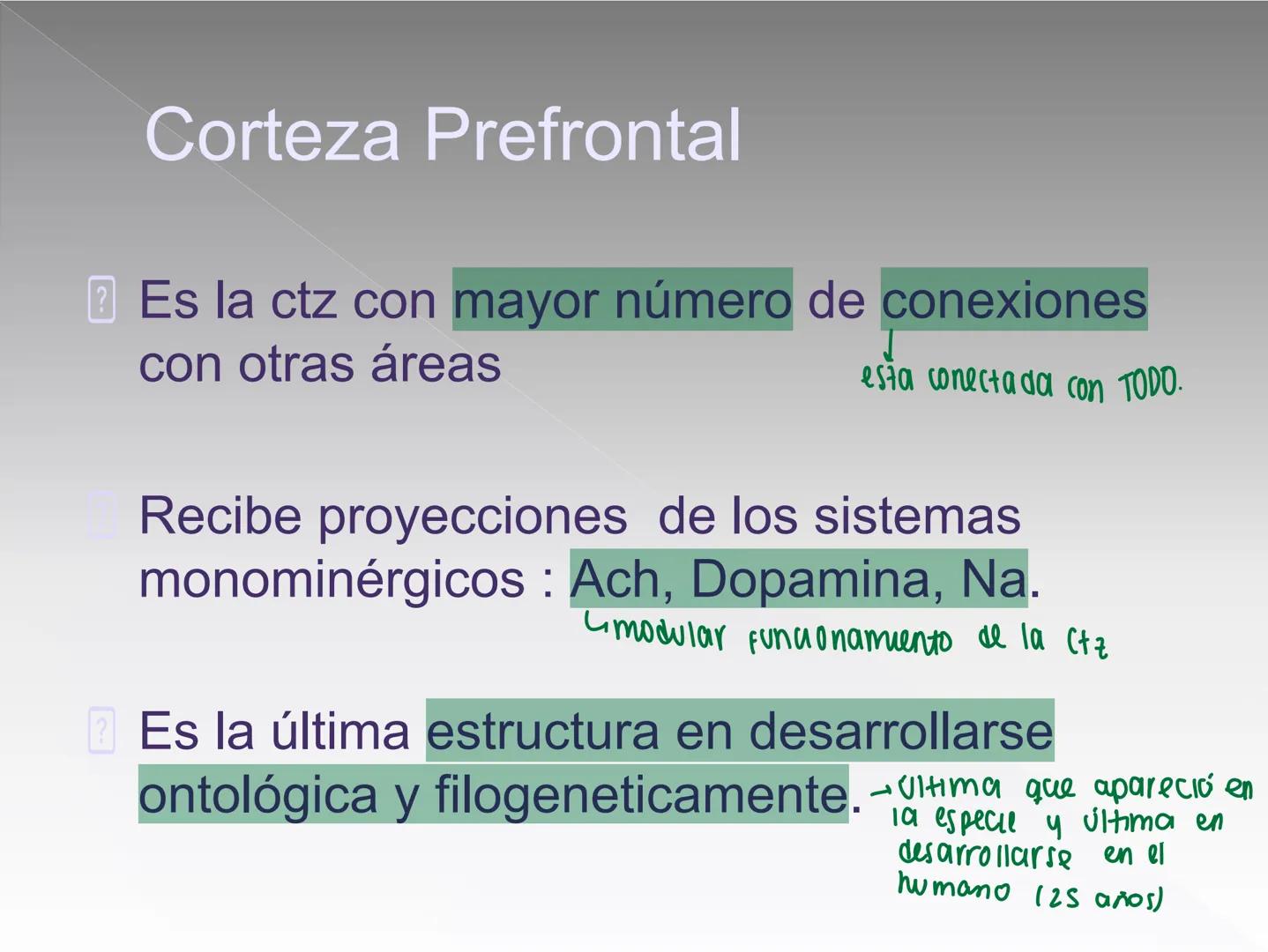 Neuropsicología de las
Funciones ejecutivas
Adriana M. Martínez M.
Ms. RHN y EC-UAB ejecutar
Para vivir las personas deben actuar; para
actu