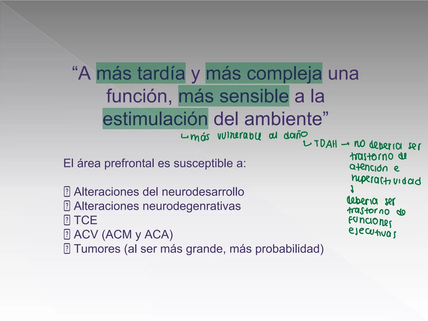 Neuropsicología de las
Funciones ejecutivas
Adriana M. Martínez M.
Ms. RHN y EC-UAB ejecutar
Para vivir las personas deben actuar; para
actu