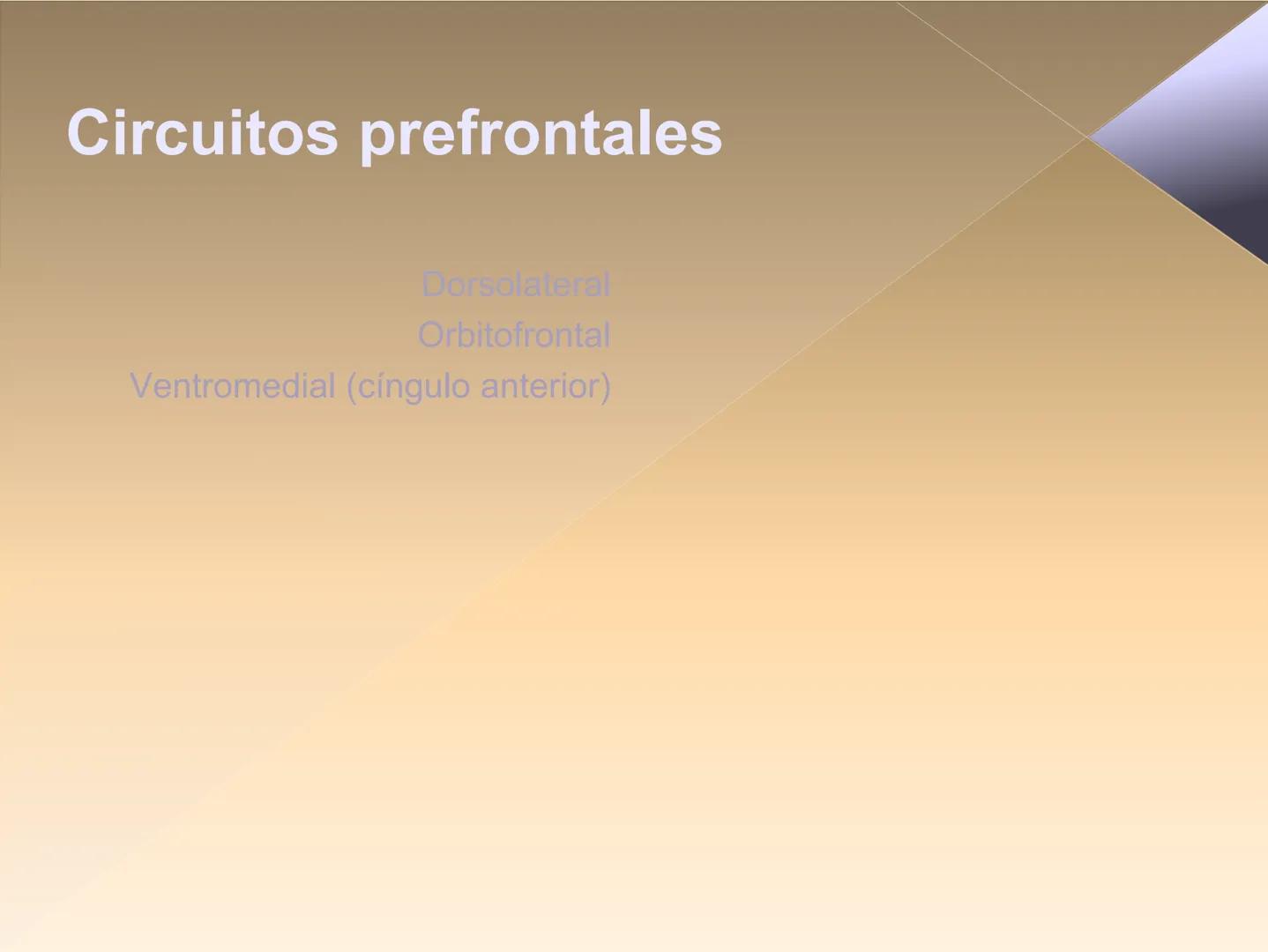 Neuropsicología de las
Funciones ejecutivas
Adriana M. Martínez M.
Ms. RHN y EC-UAB ejecutar
Para vivir las personas deben actuar; para
actu